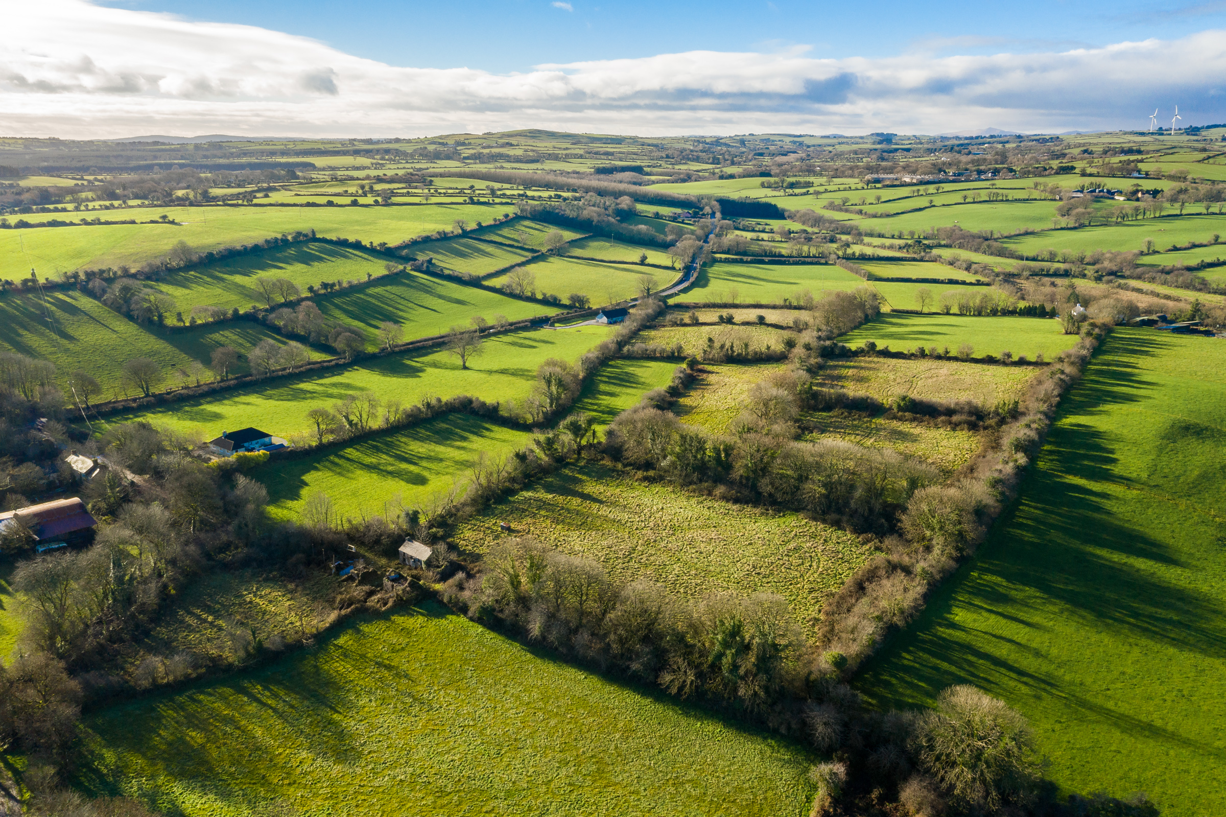 Photo: Niamh Whitty/www.pictureitsold.ie