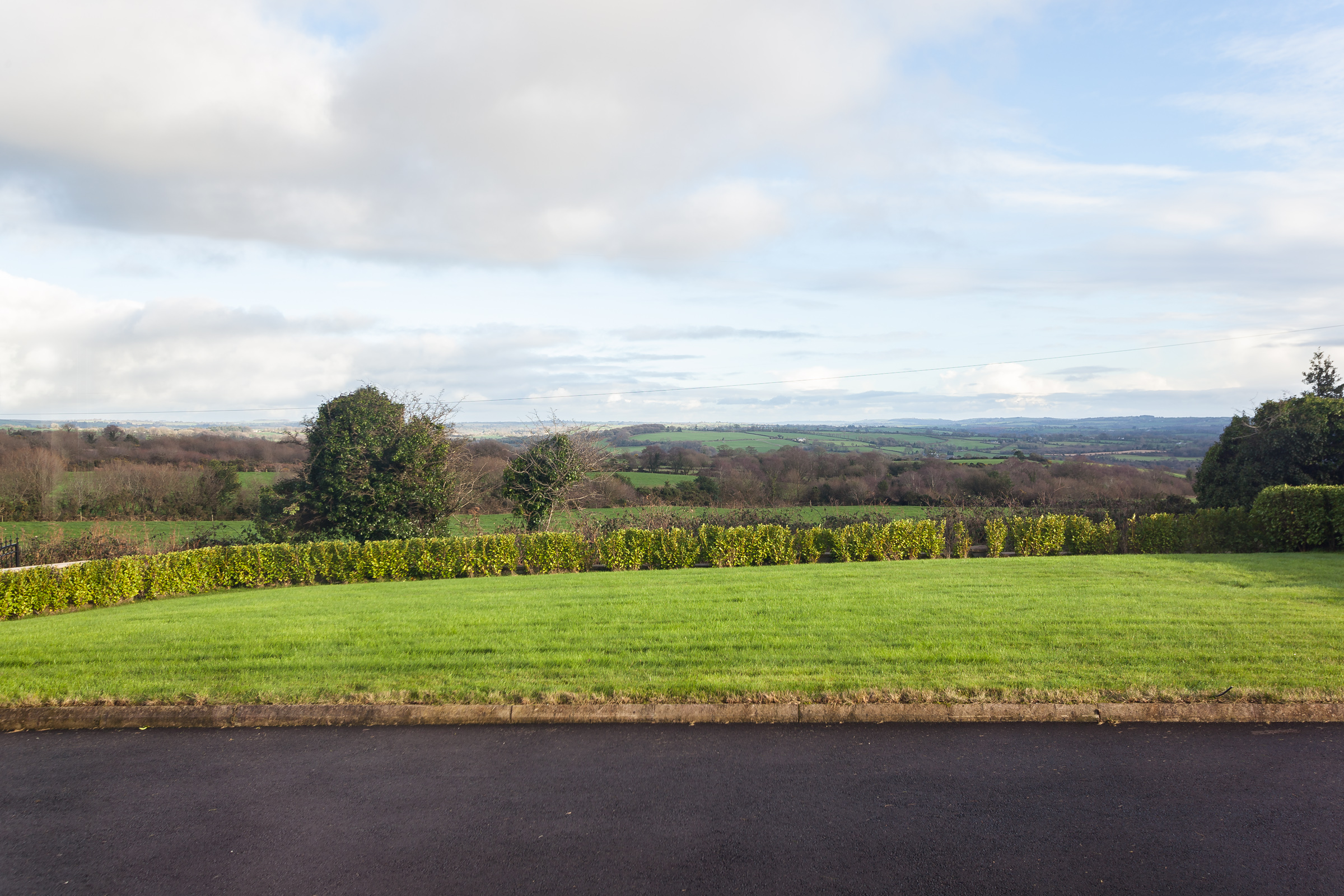 Photo: Niamh Whitty/www.pictureitsold.ie