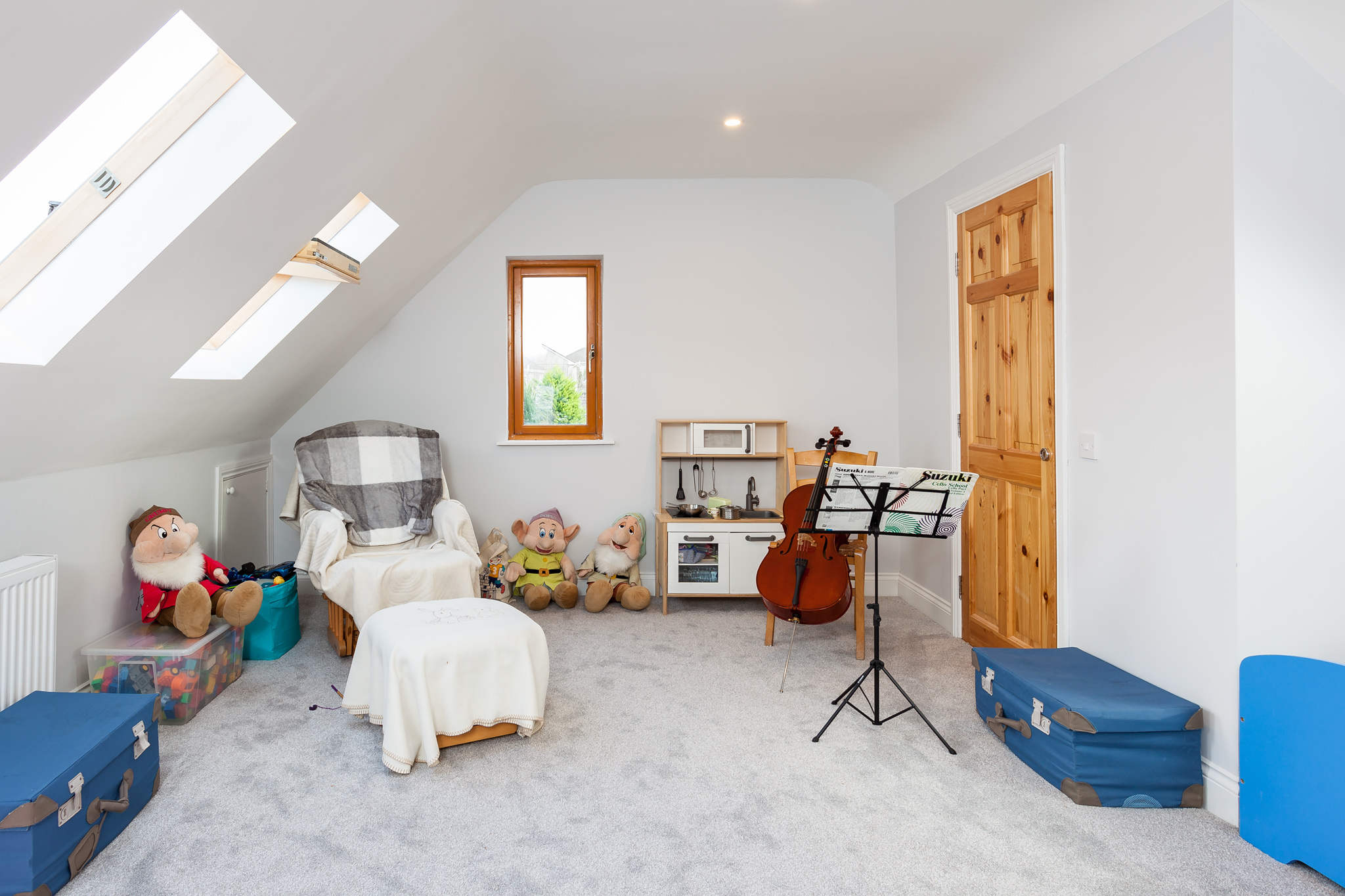 Photo: Niamh Whitty/www.pictureitsold.ie