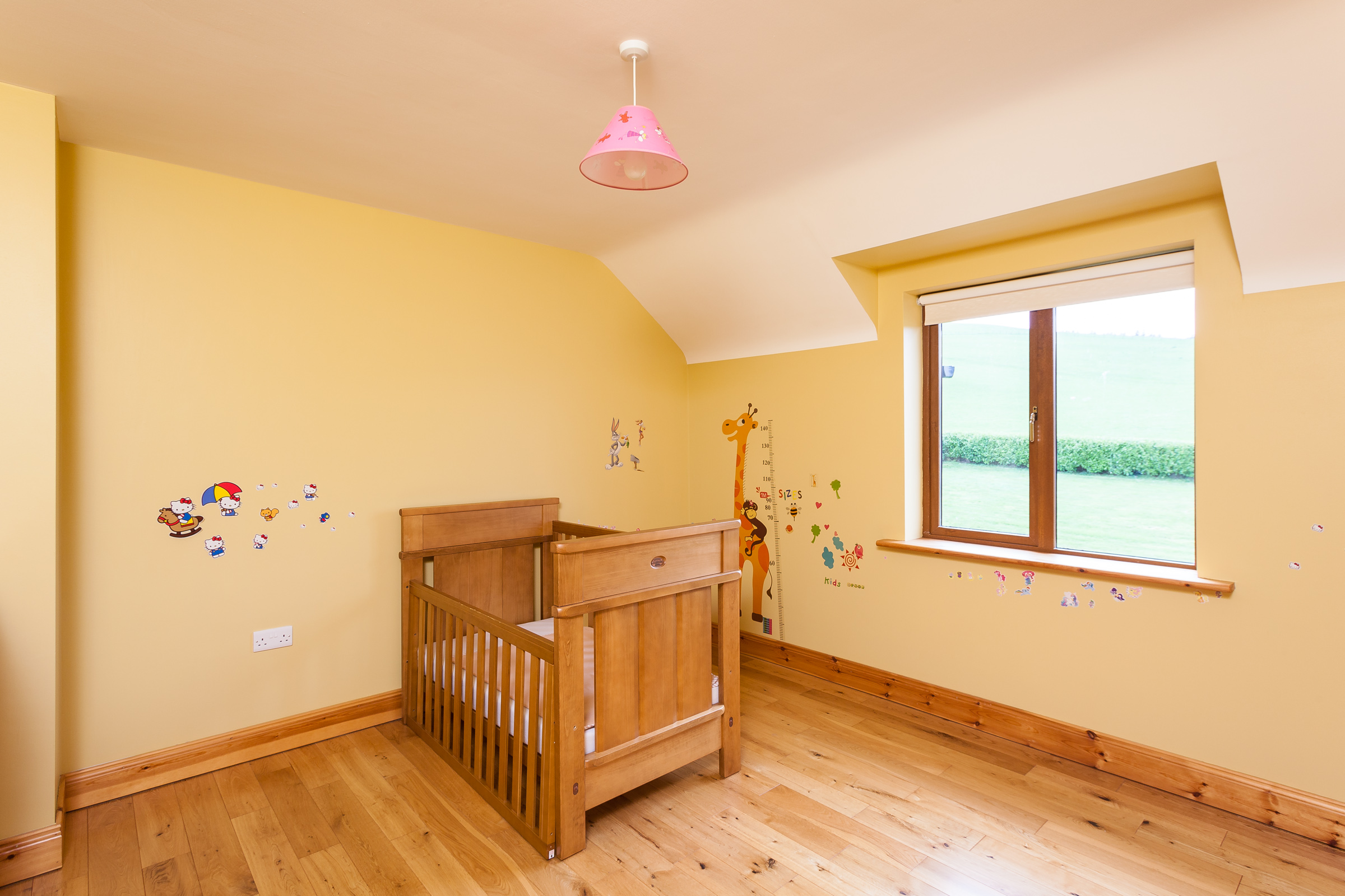 Photo: Niamh Whitty/www.pictureitsold.ie