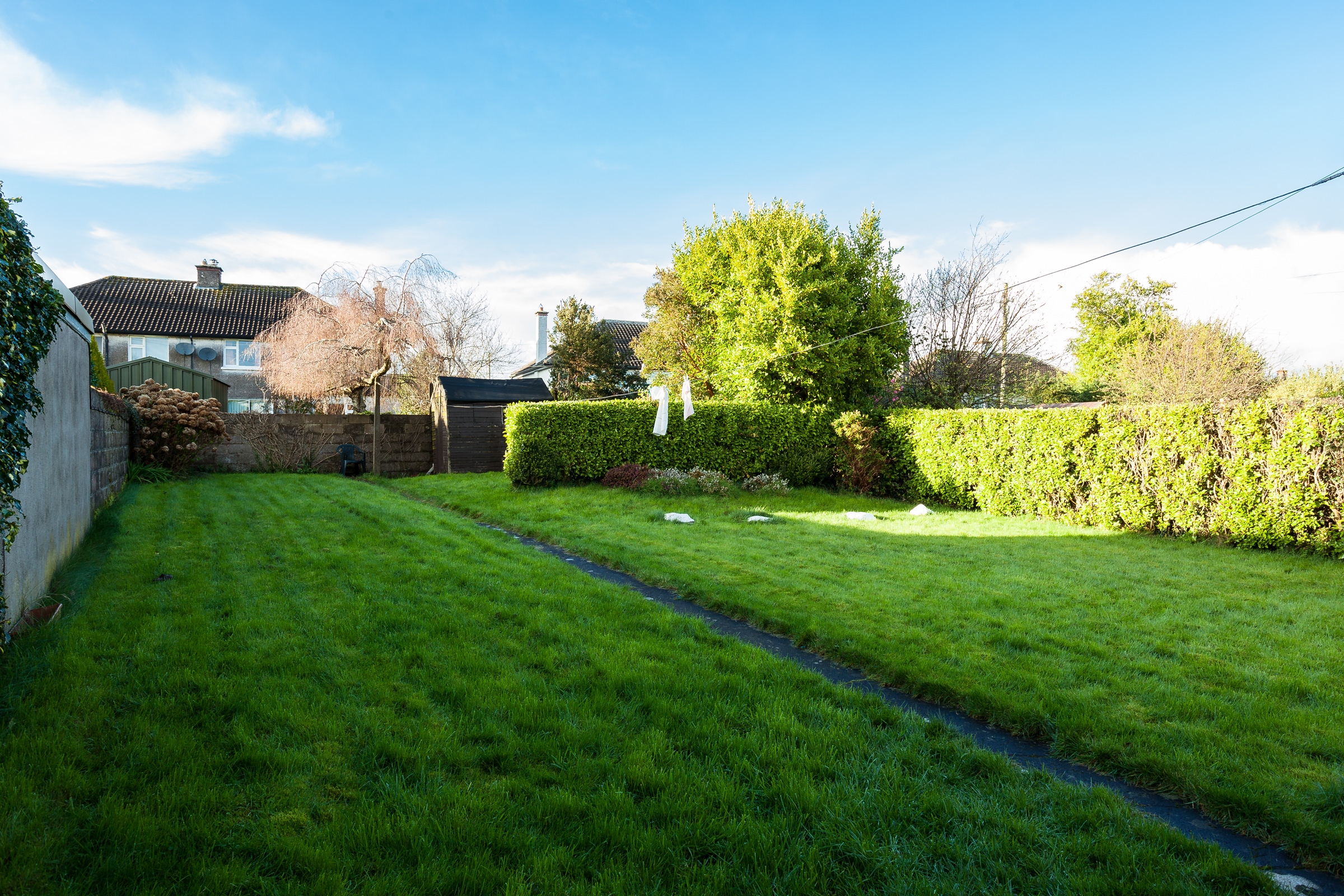 Photo: Niamh Whitty/www.pictureitsold.ie