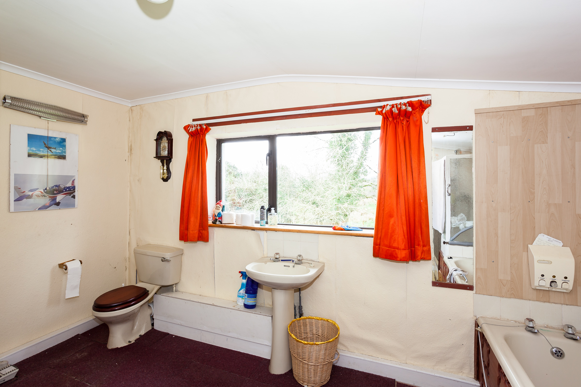 Photo: Niamh Whitty/www.pictureitsold.ie