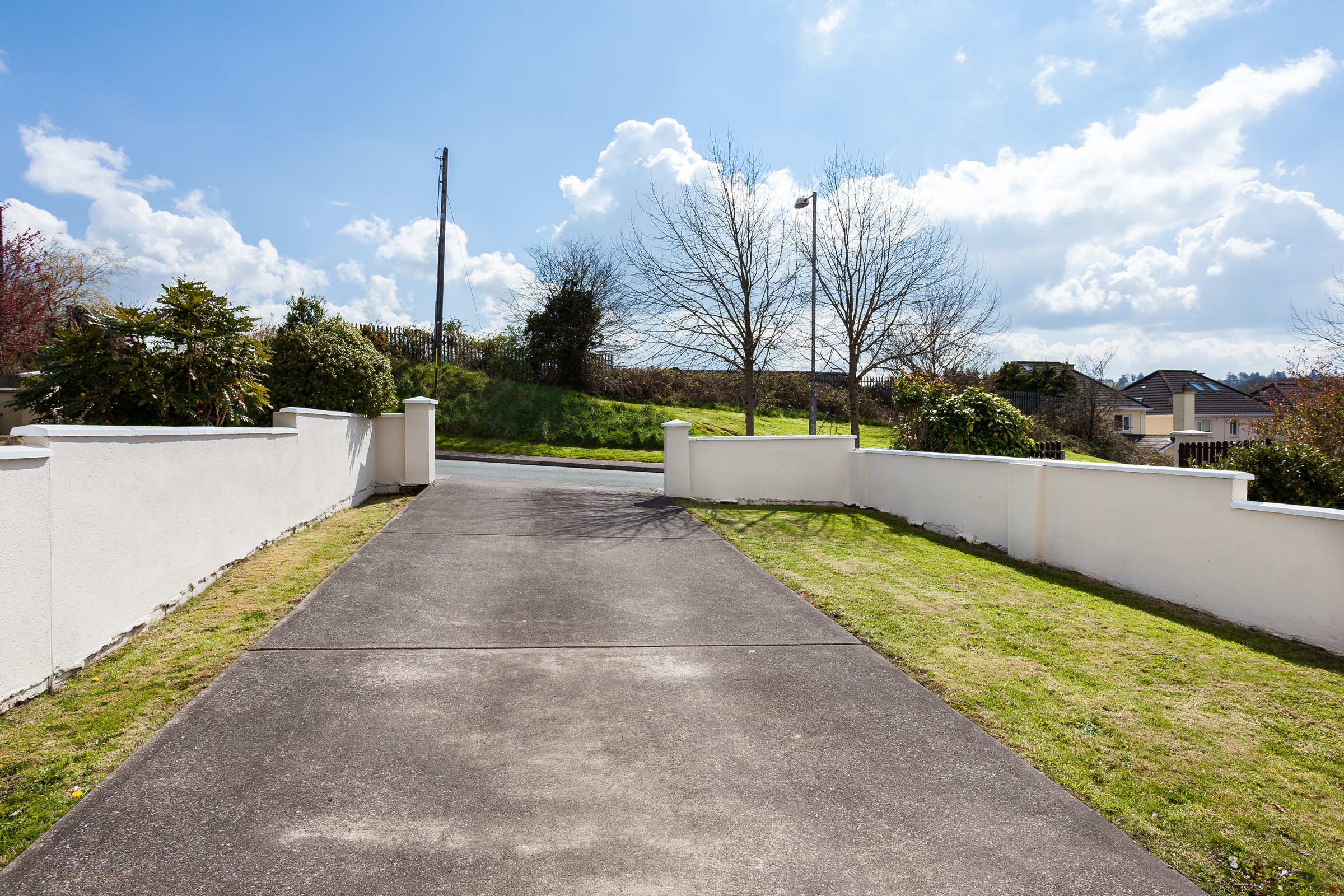 Photo: Niamh Whitty/www.pictureitsold.ie