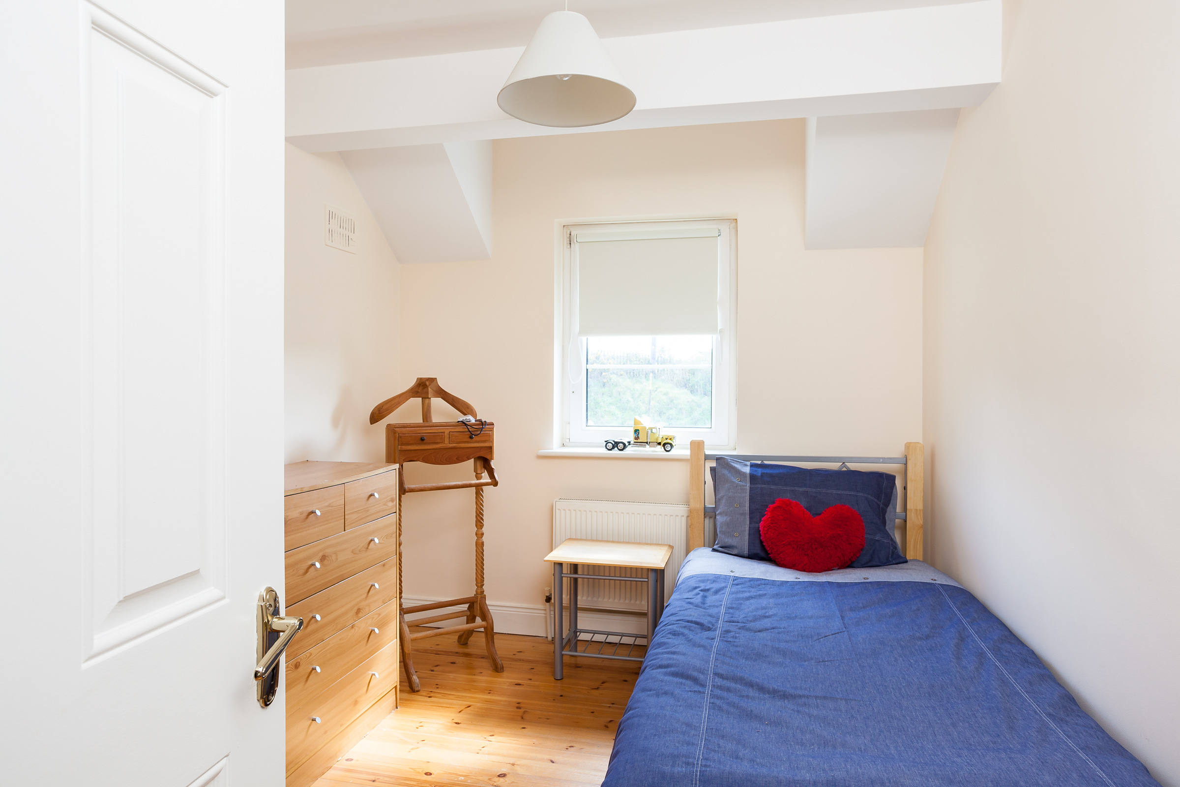 Photo: Niamh Whitty/www.pictureitsold.ie