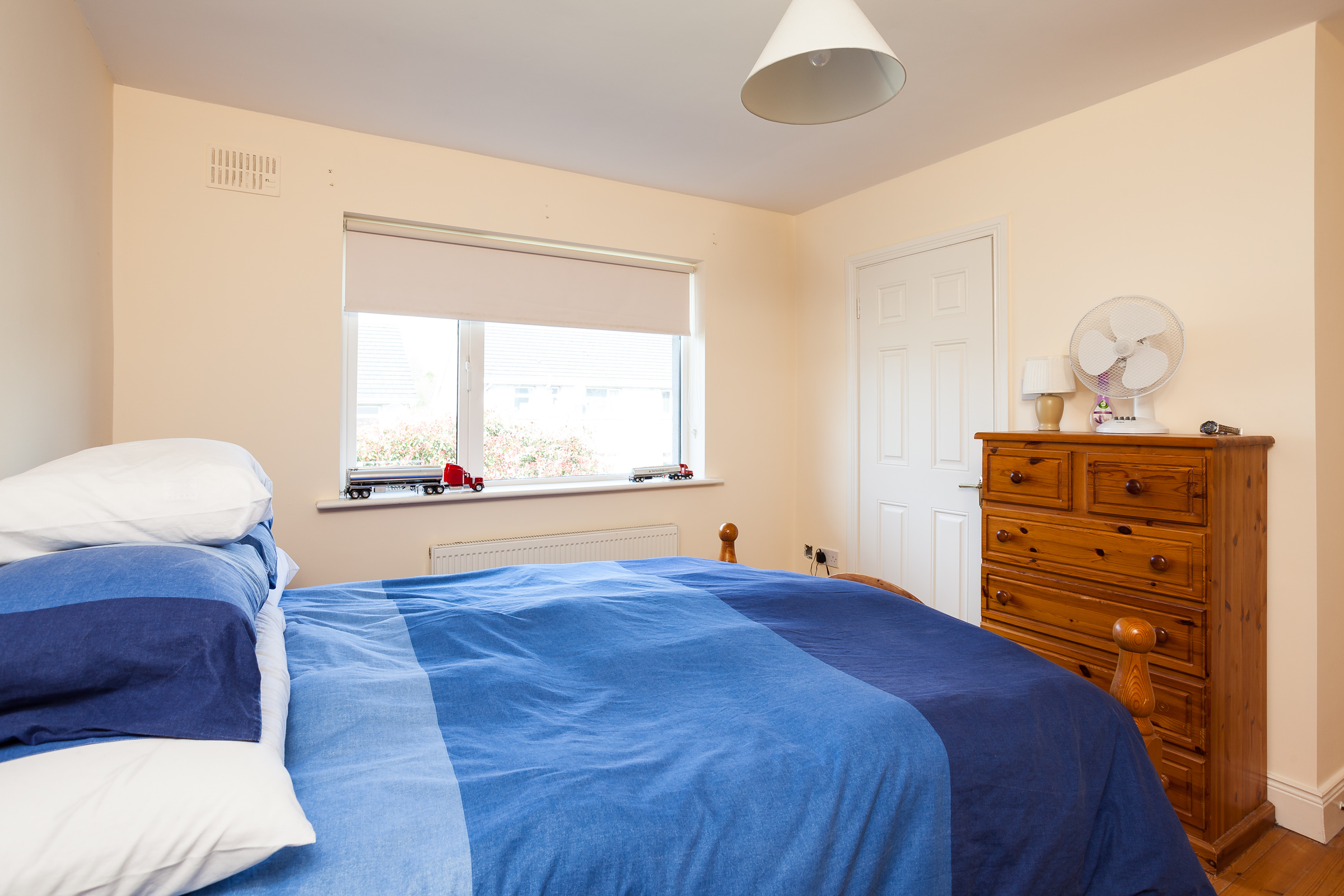 Photo: Niamh Whitty/www.pictureitsold.ie