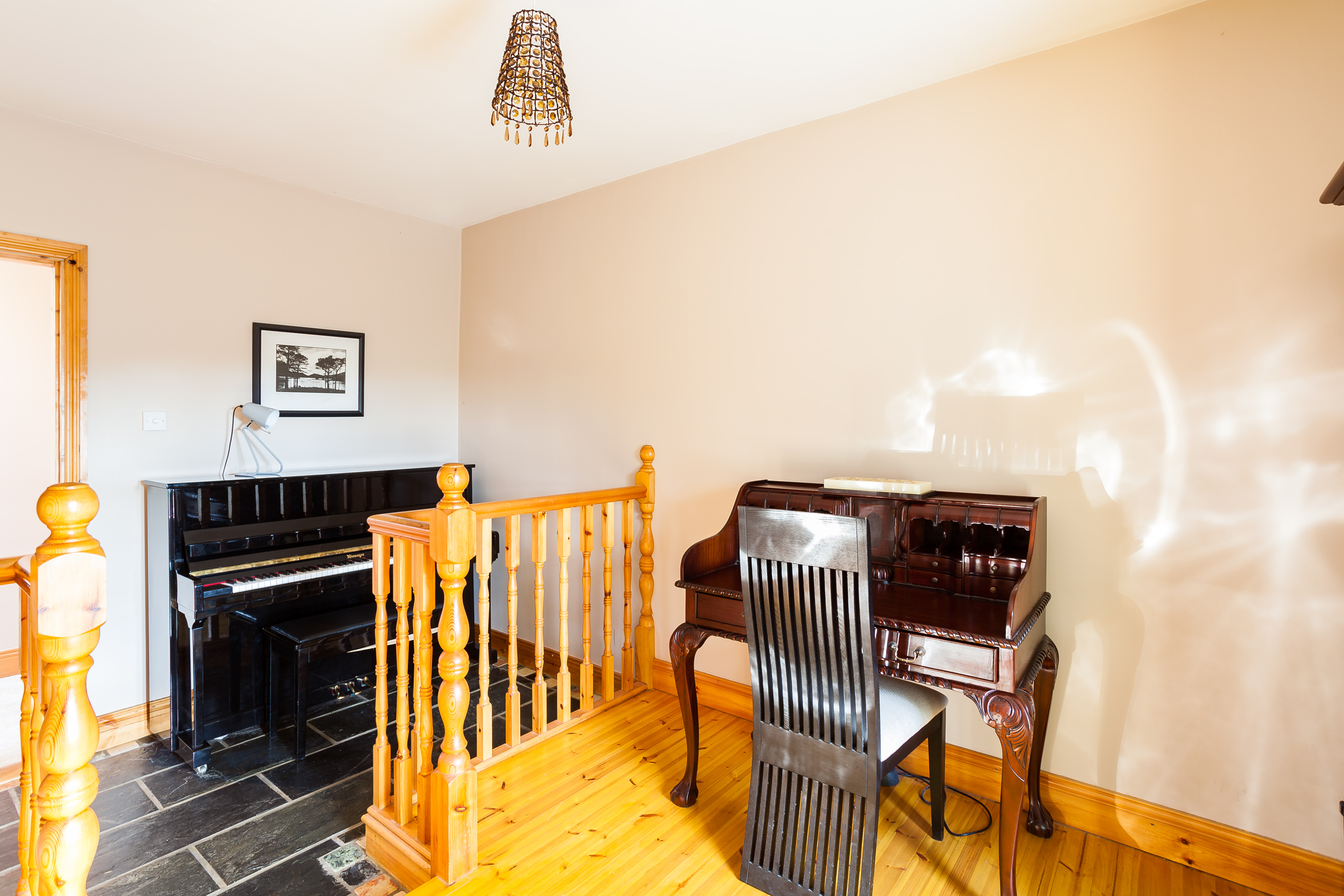 Photo: Niamh Whitty/www.pictureitsold.ie