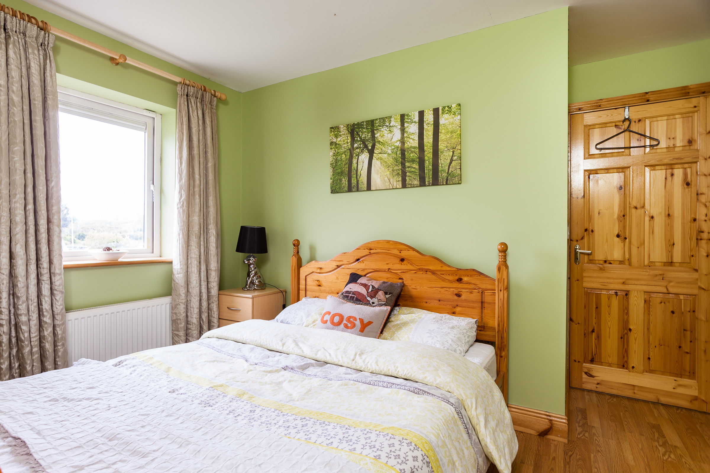 Photo: Niamh Whitty/www.pictureitsold.ie