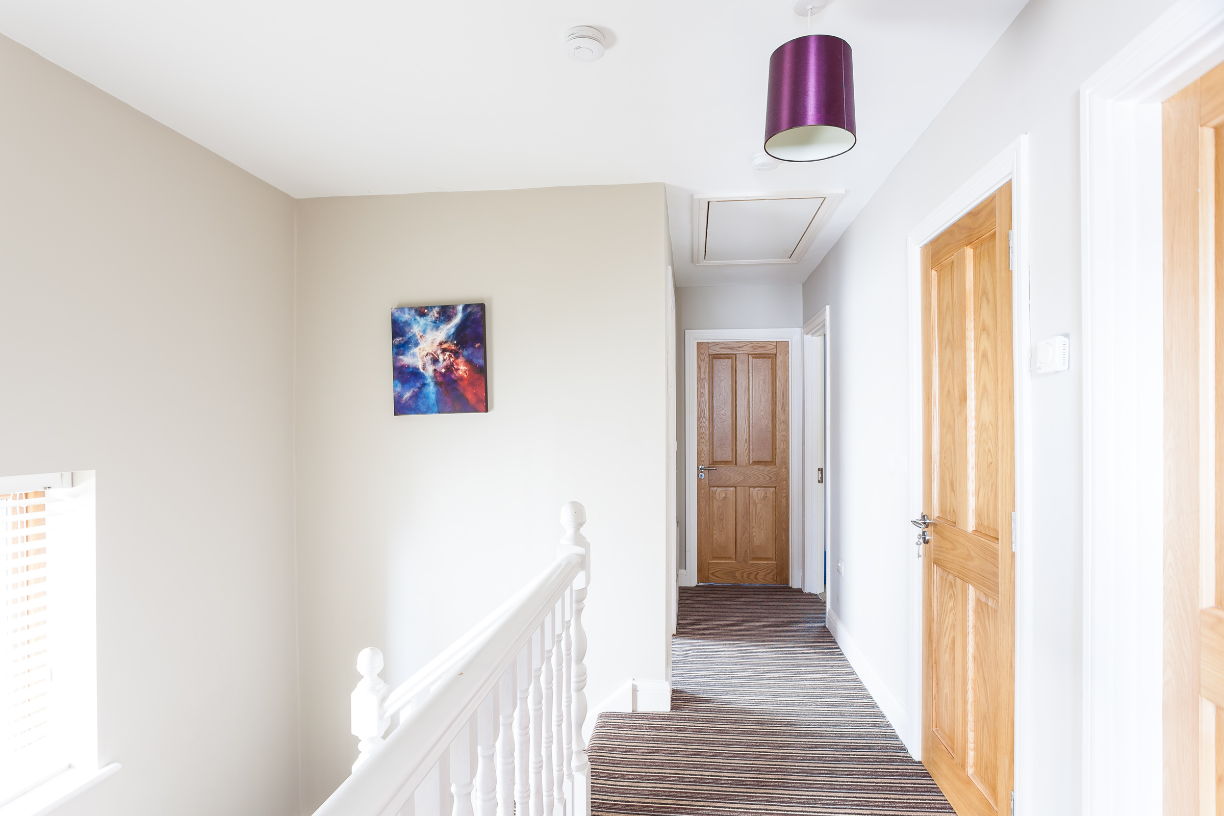 Photo: Niamh Whitty/www.pictureitsold.ie