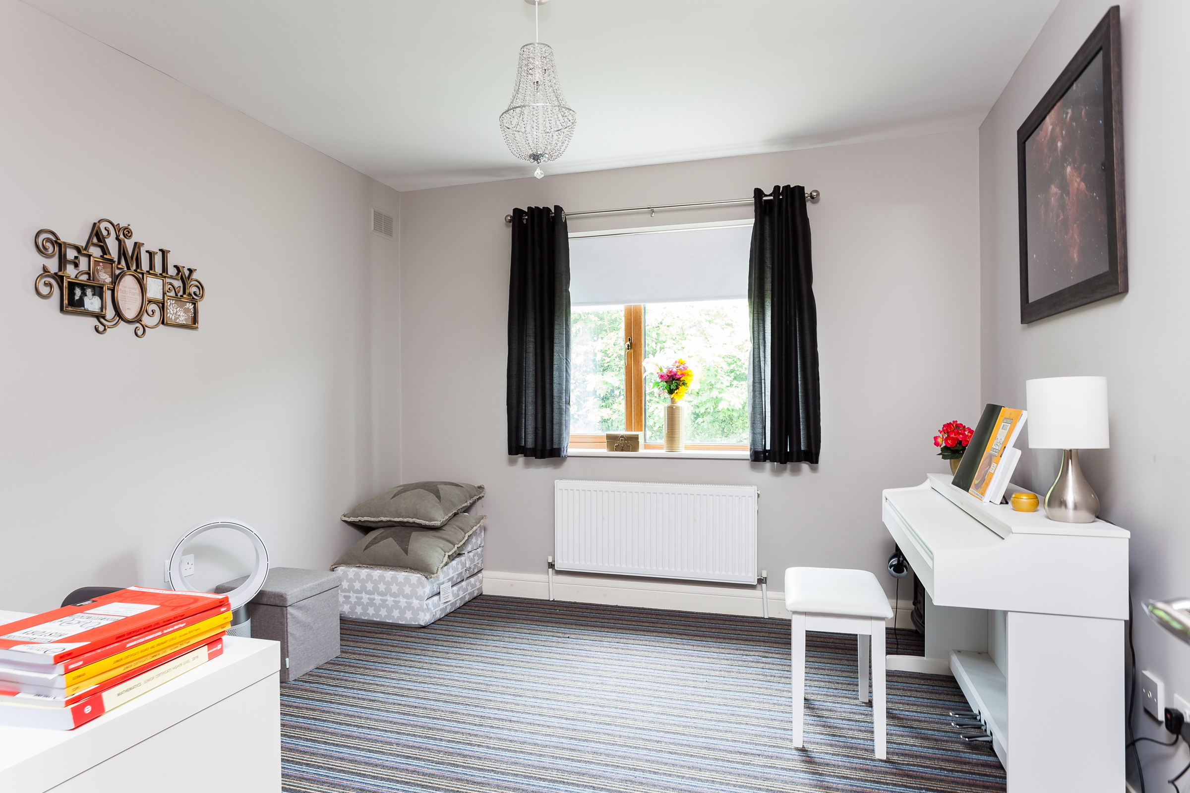 Photo: Niamh Whitty/www.pictureitsold.ie