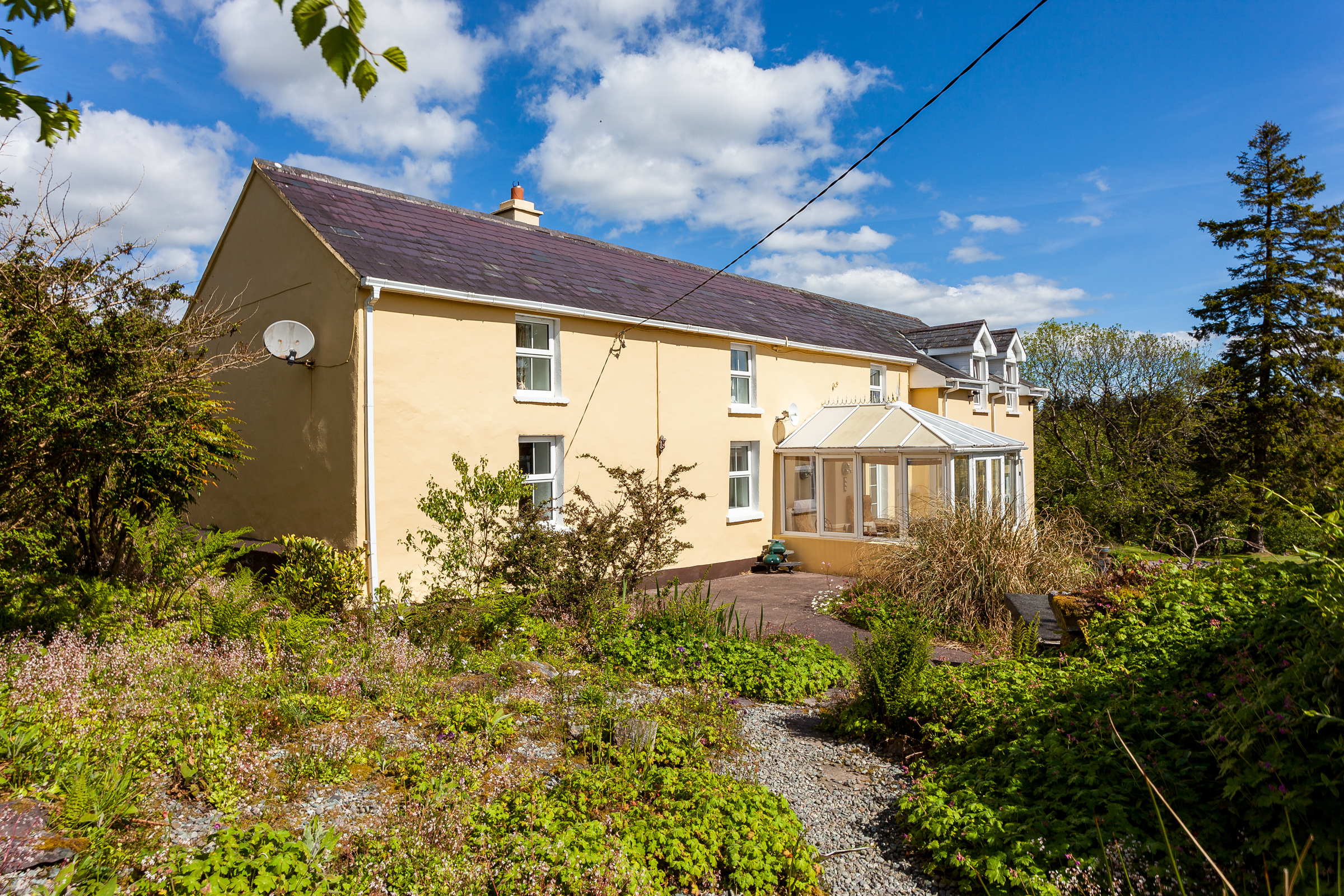 Photo: Niamh Whitty/www.pictureitsold.ie