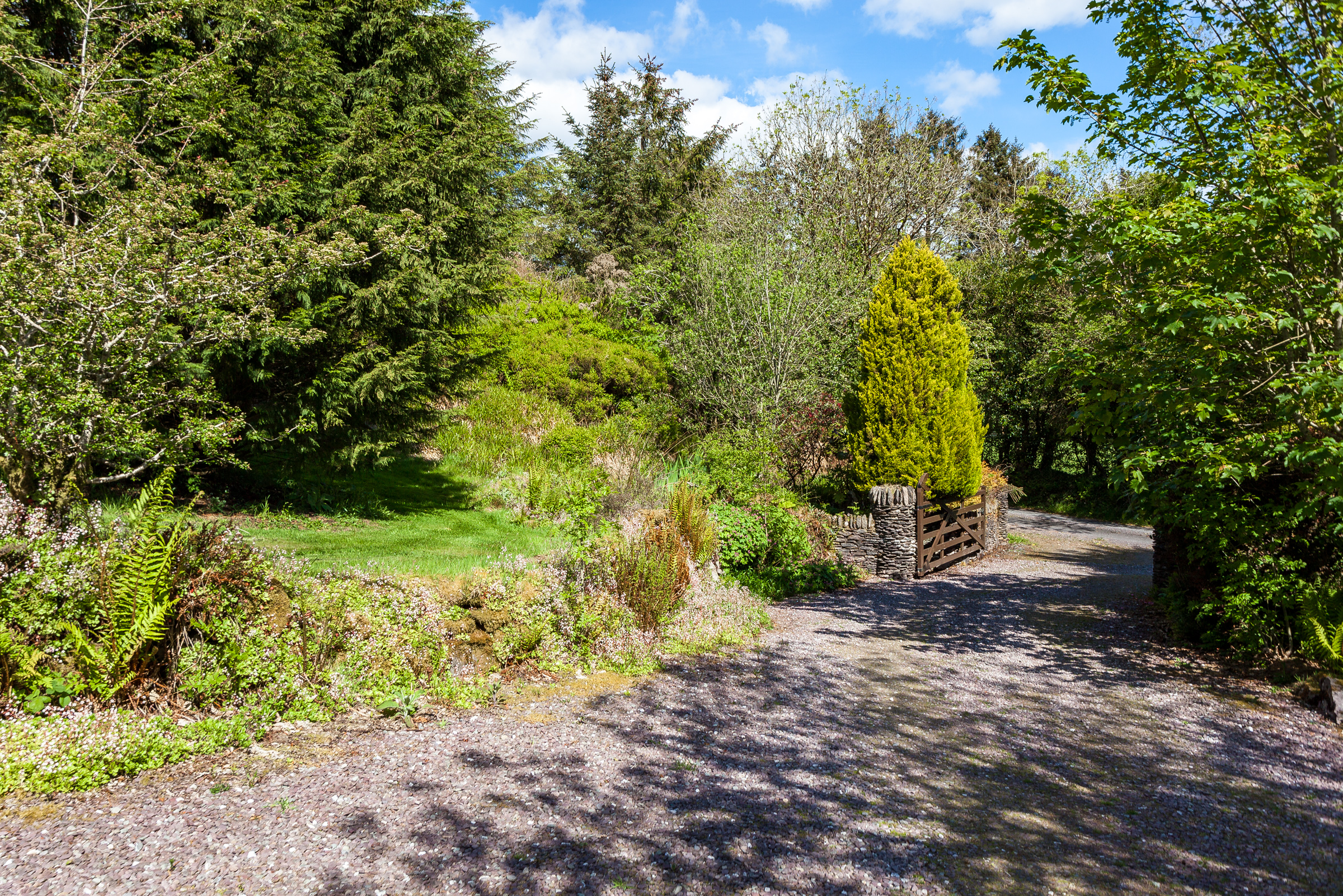 Photo: Niamh Whitty/www.pictureitsold.ie