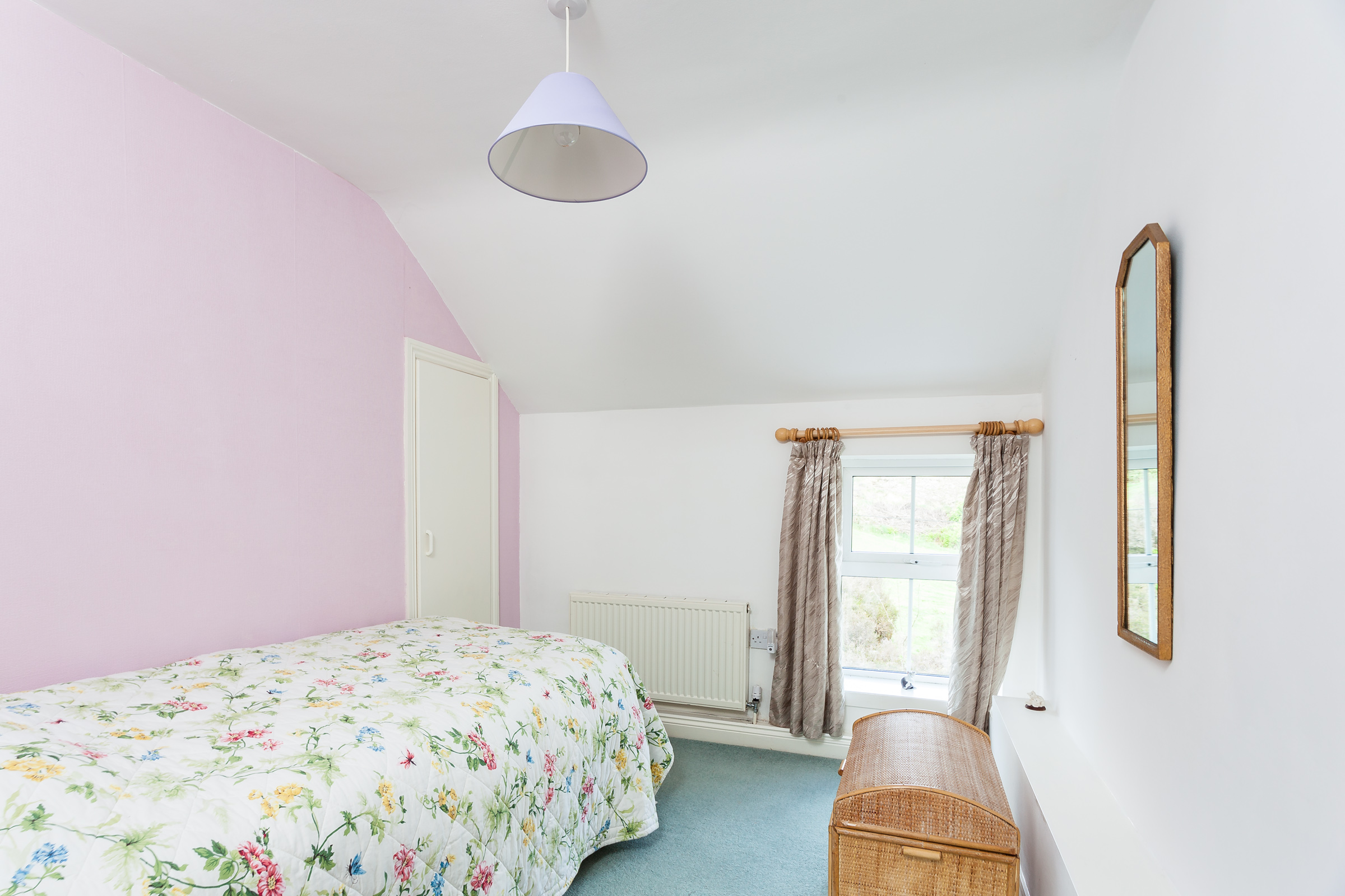 Photo: Niamh Whitty/www.pictureitsold.ie