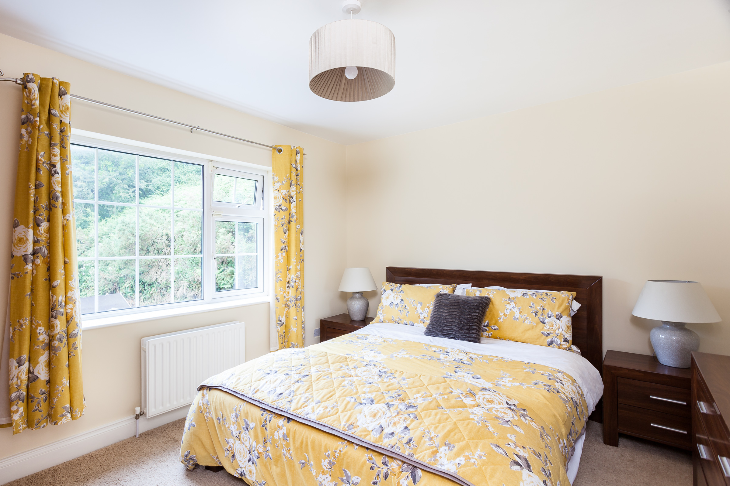 Photo: Niamh Whitty/www.pictureitsold.ie