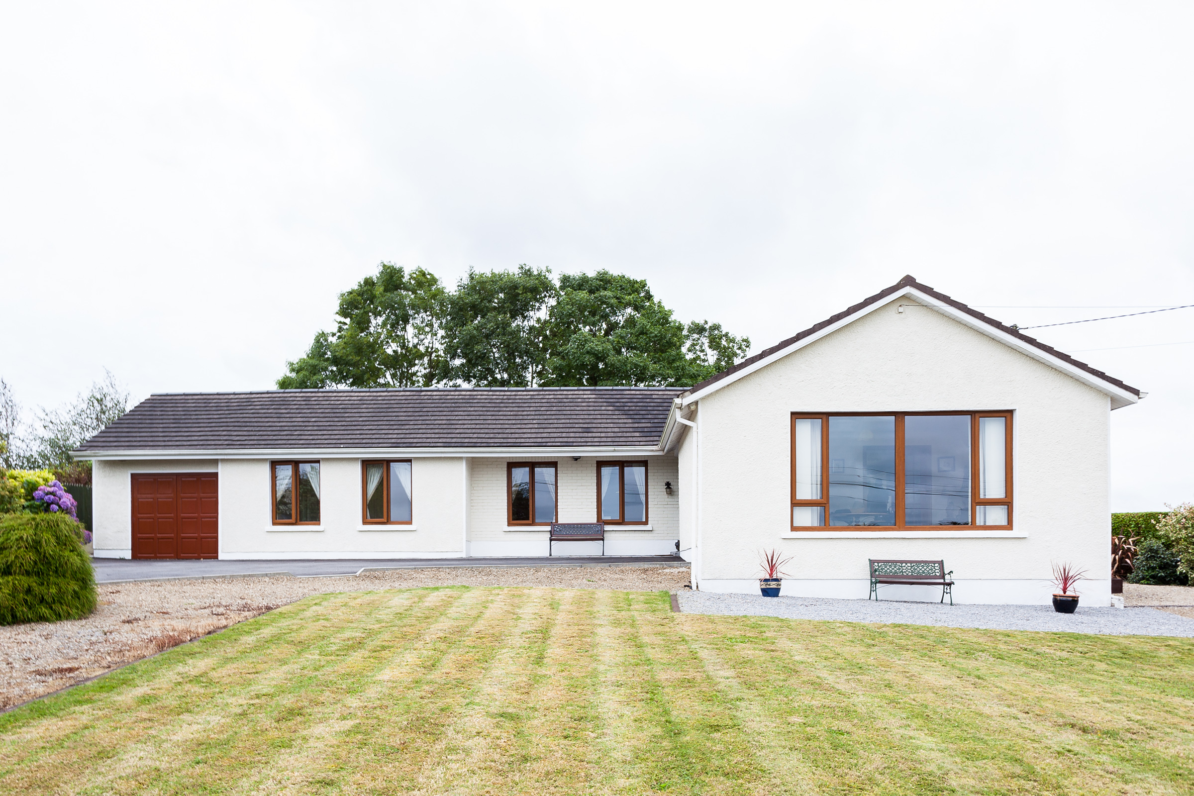 Photo: Niamh Whitty/www.pictureitsold.ie