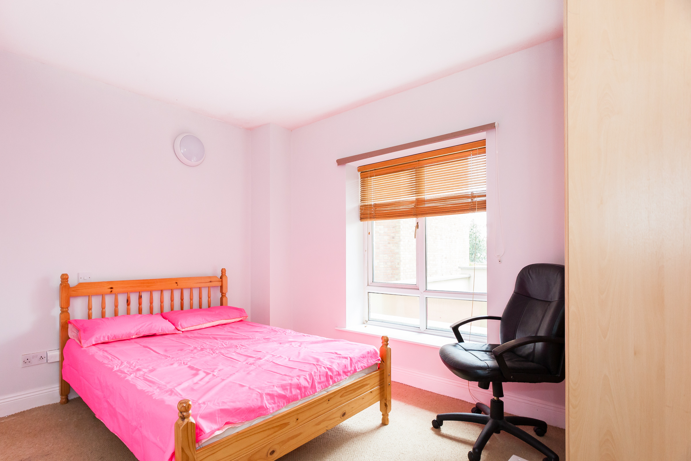 Photo: Niamh Whitty/www.pictureitsold.ie