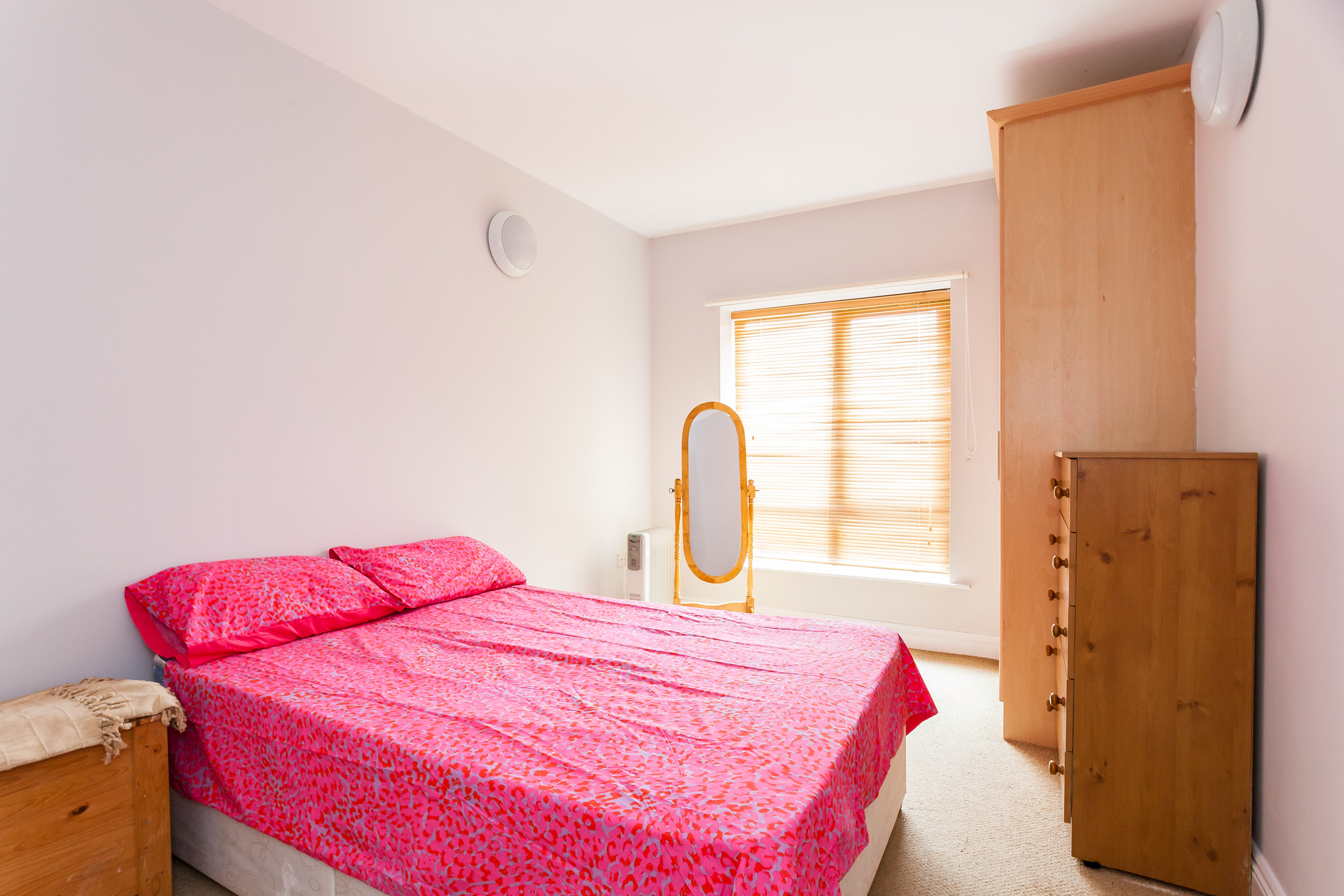 Photo: Niamh Whitty/www.pictureitsold.ie