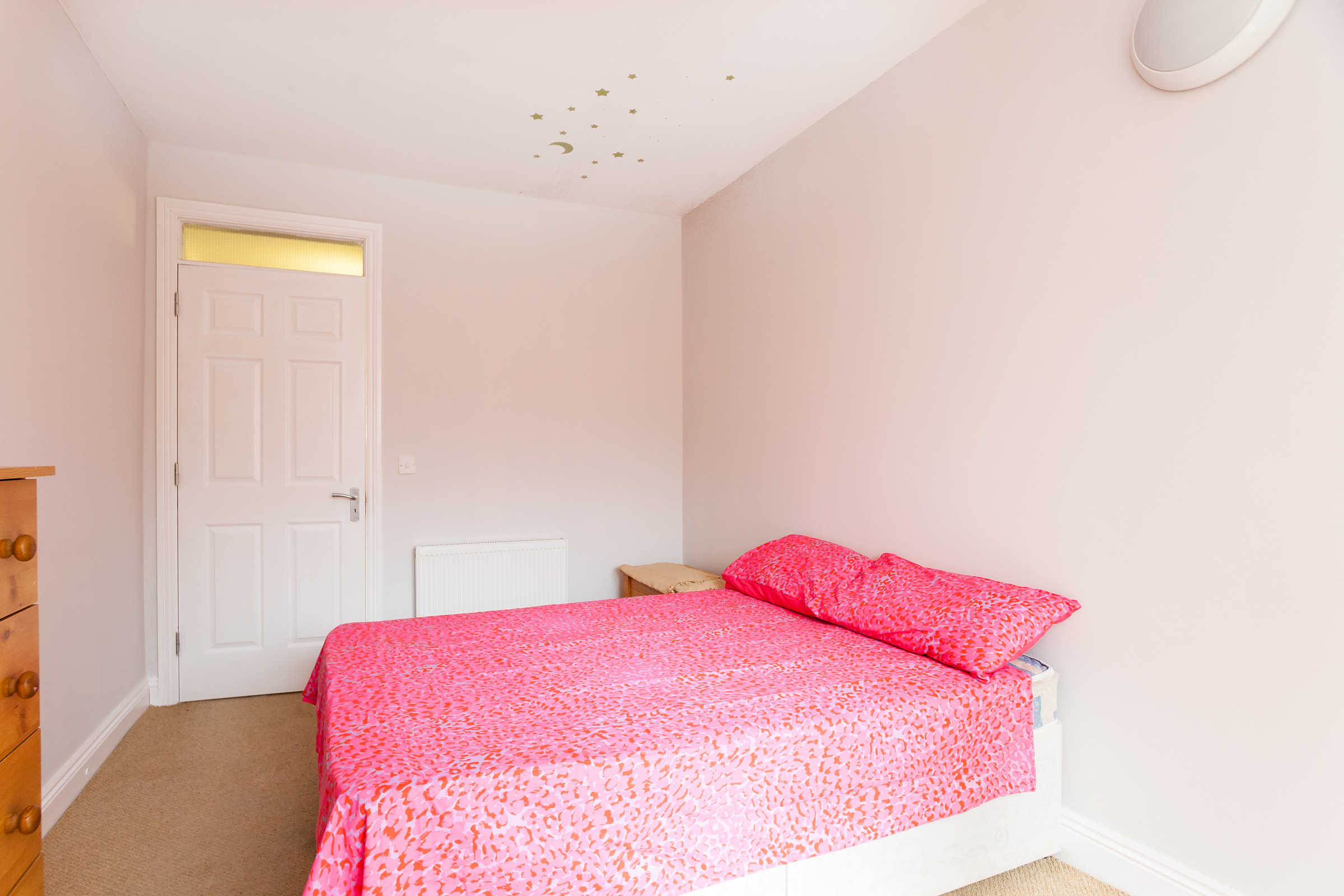 Photo: Niamh Whitty/www.pictureitsold.ie