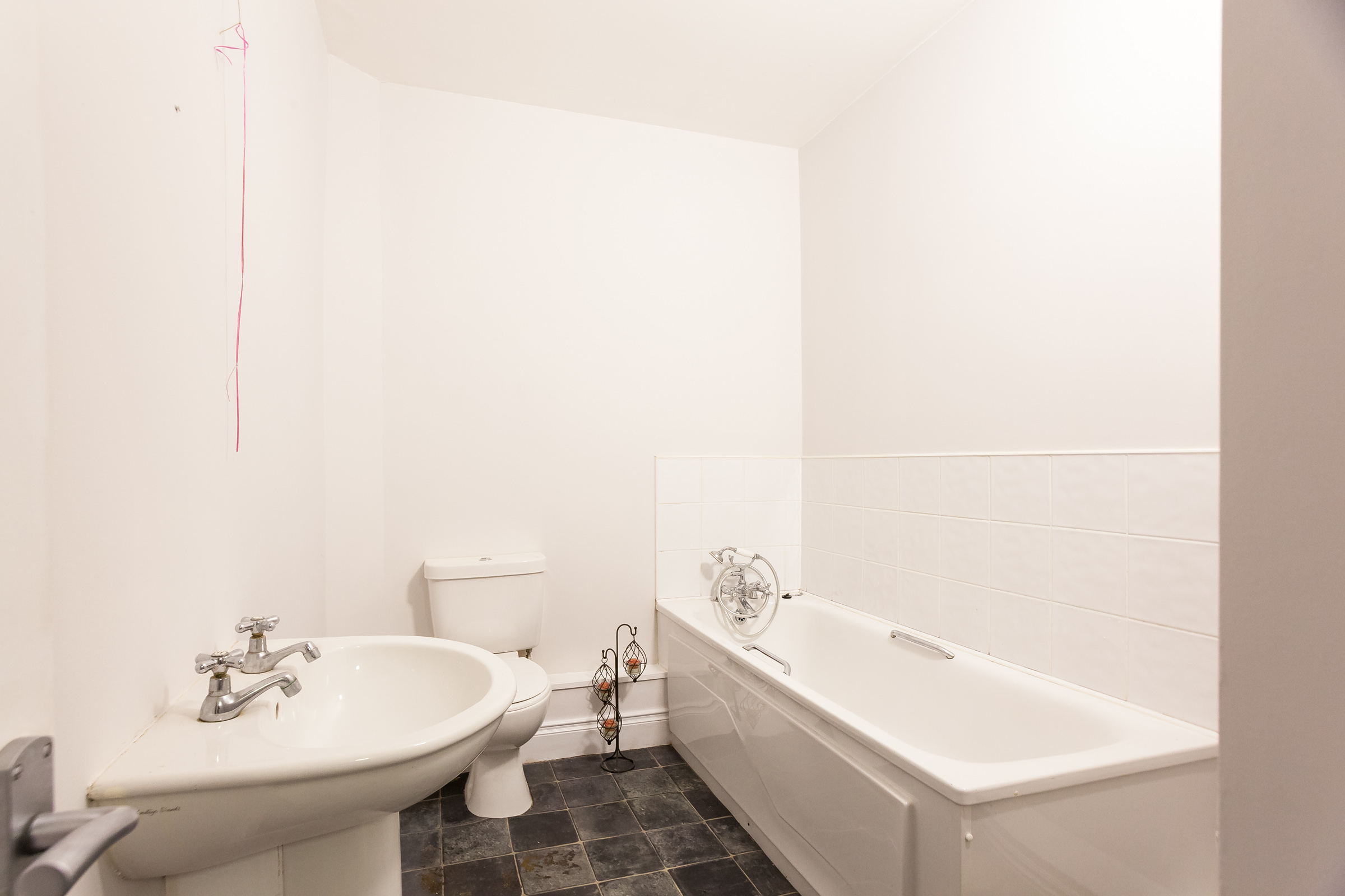 Photo: Niamh Whitty/www.pictureitsold.ie