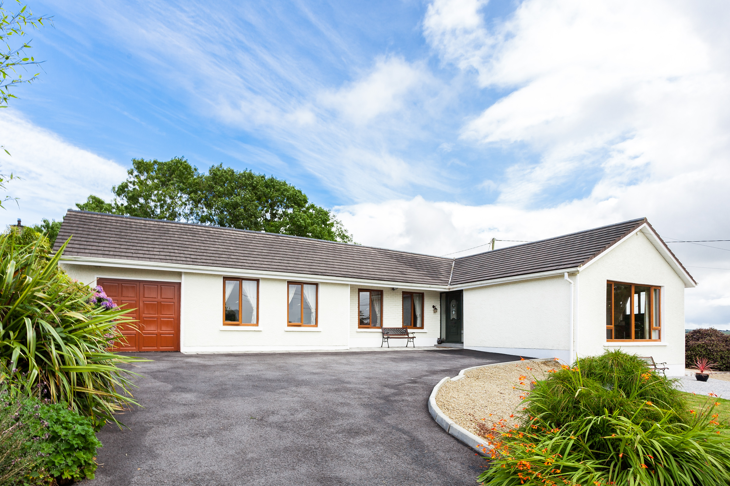 Photo: Niamh Whitty/www.pictureitsold.ie