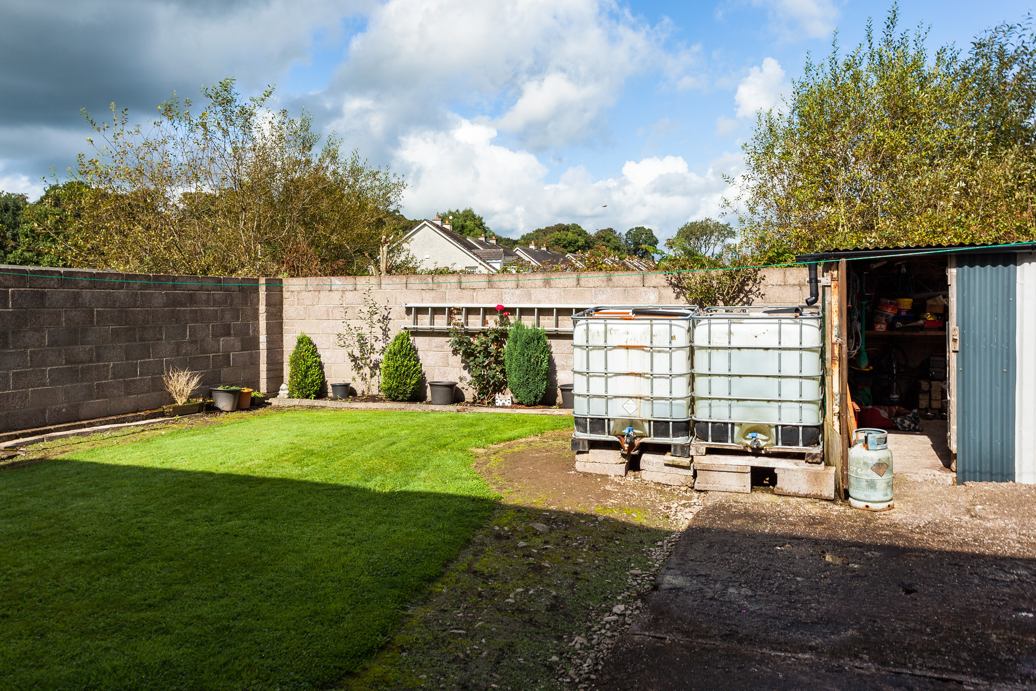 Photo: Niamh Whitty/www.pictureitsold.ie