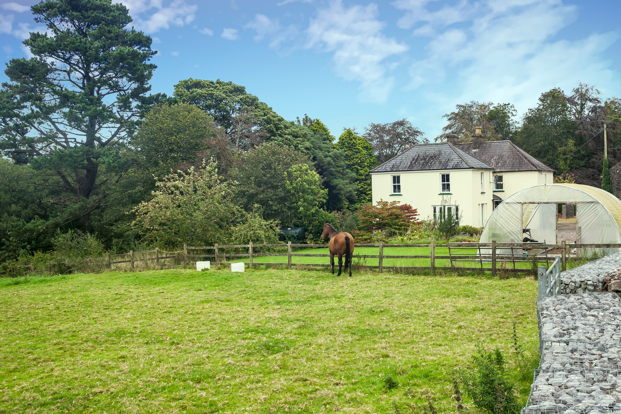 Photo: Niamh Whitty/www.pictureitsold.ie