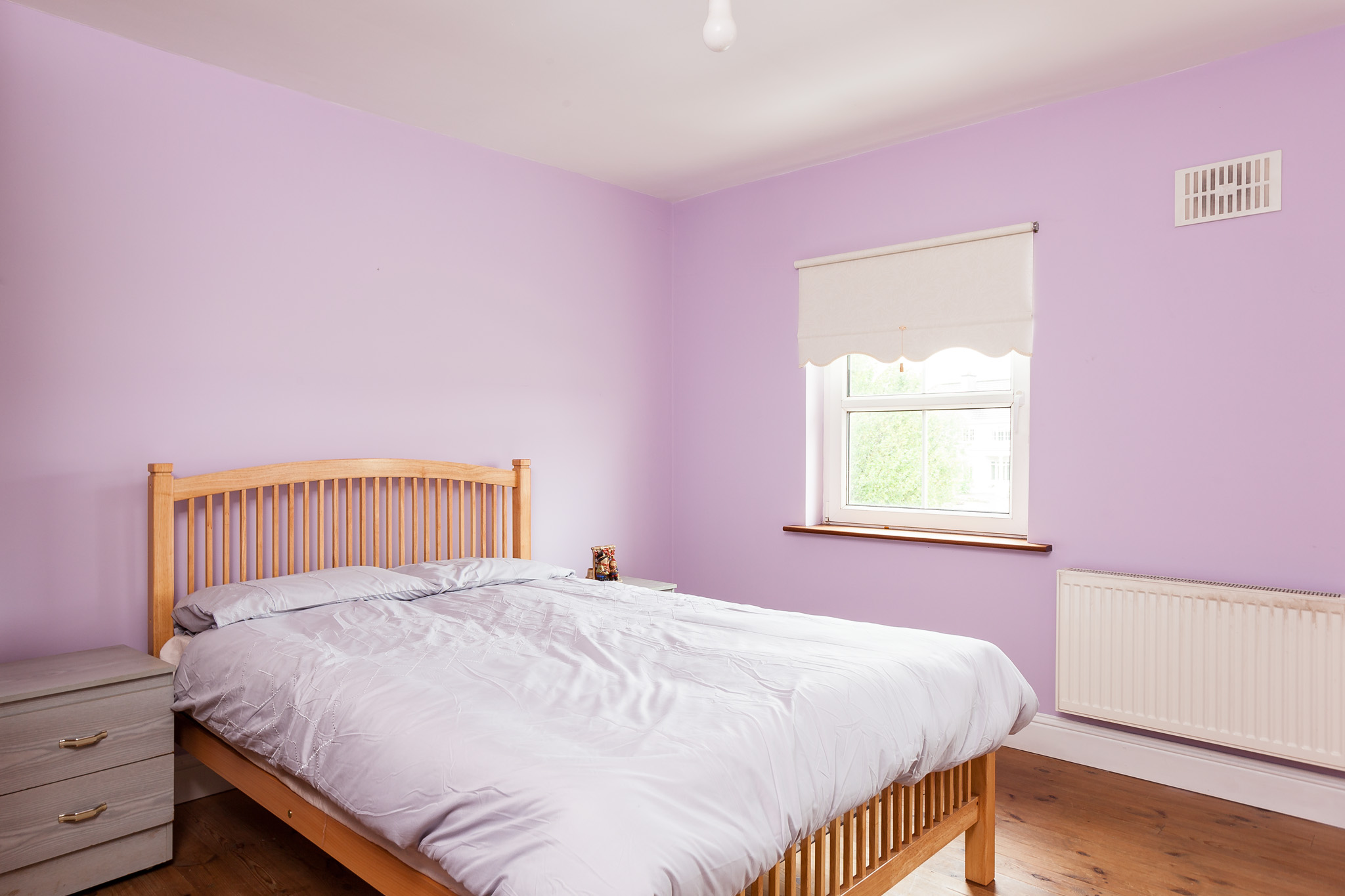 Photo: Niamh Whitty/www.pictureitsold.ie