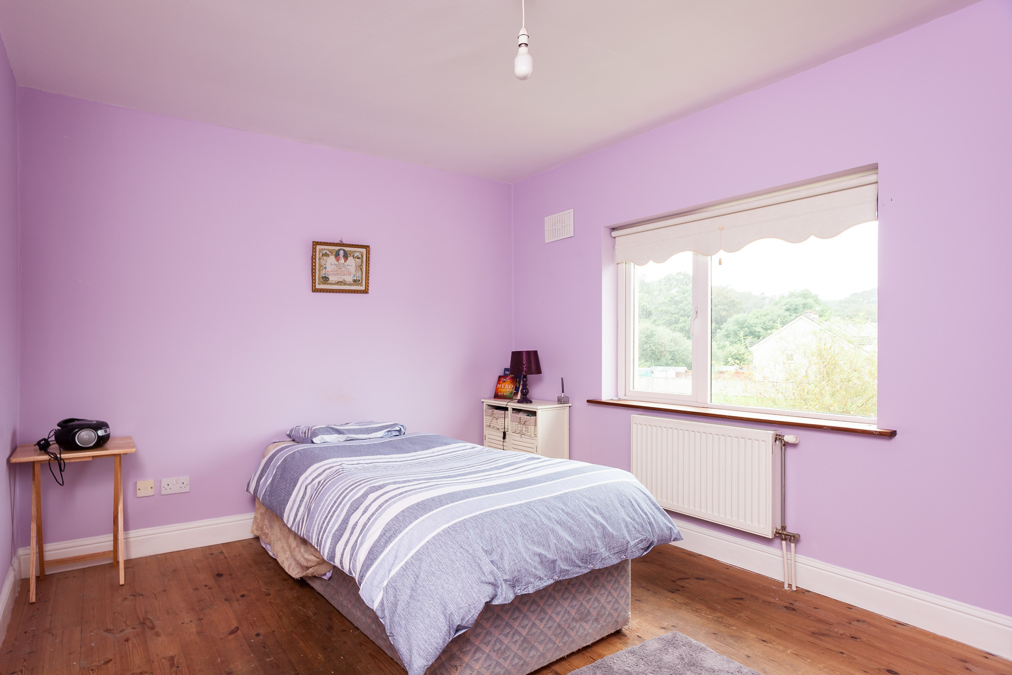 Photo: Niamh Whitty/www.pictureitsold.ie