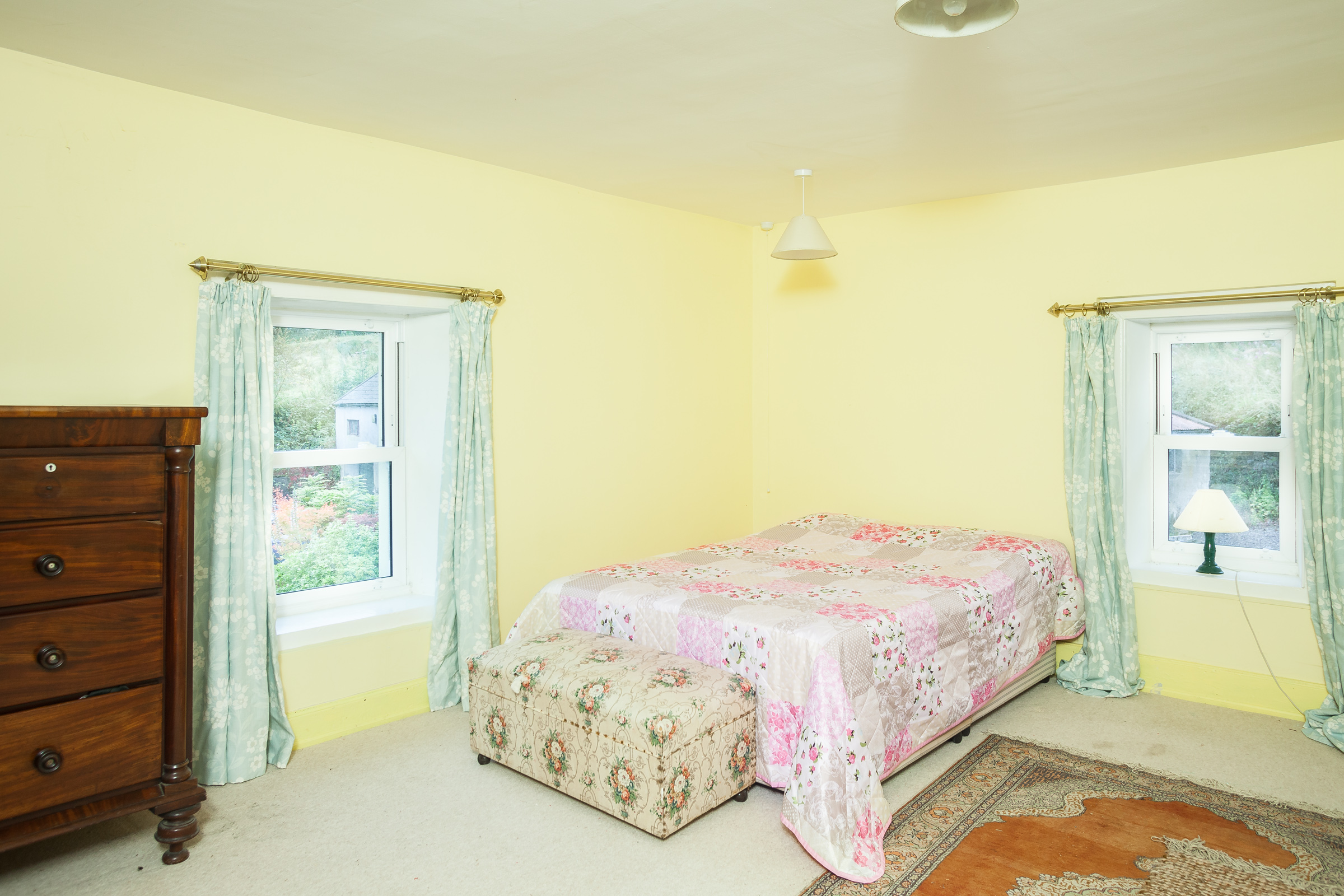 Photo: Niamh Whitty/www.pictureitsold.ie