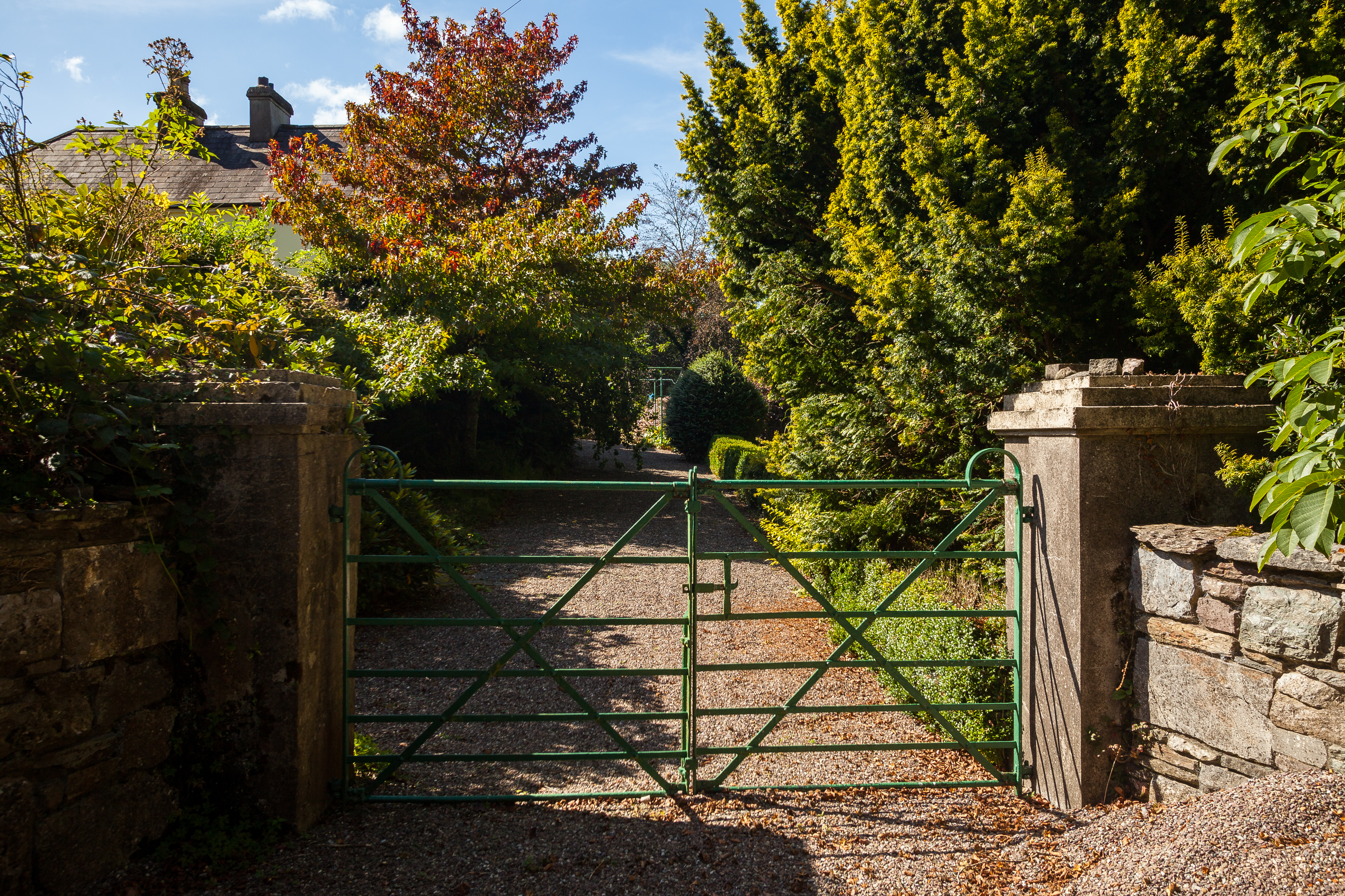 Photo: Niamh Whitty/www.pictureitsold.ie