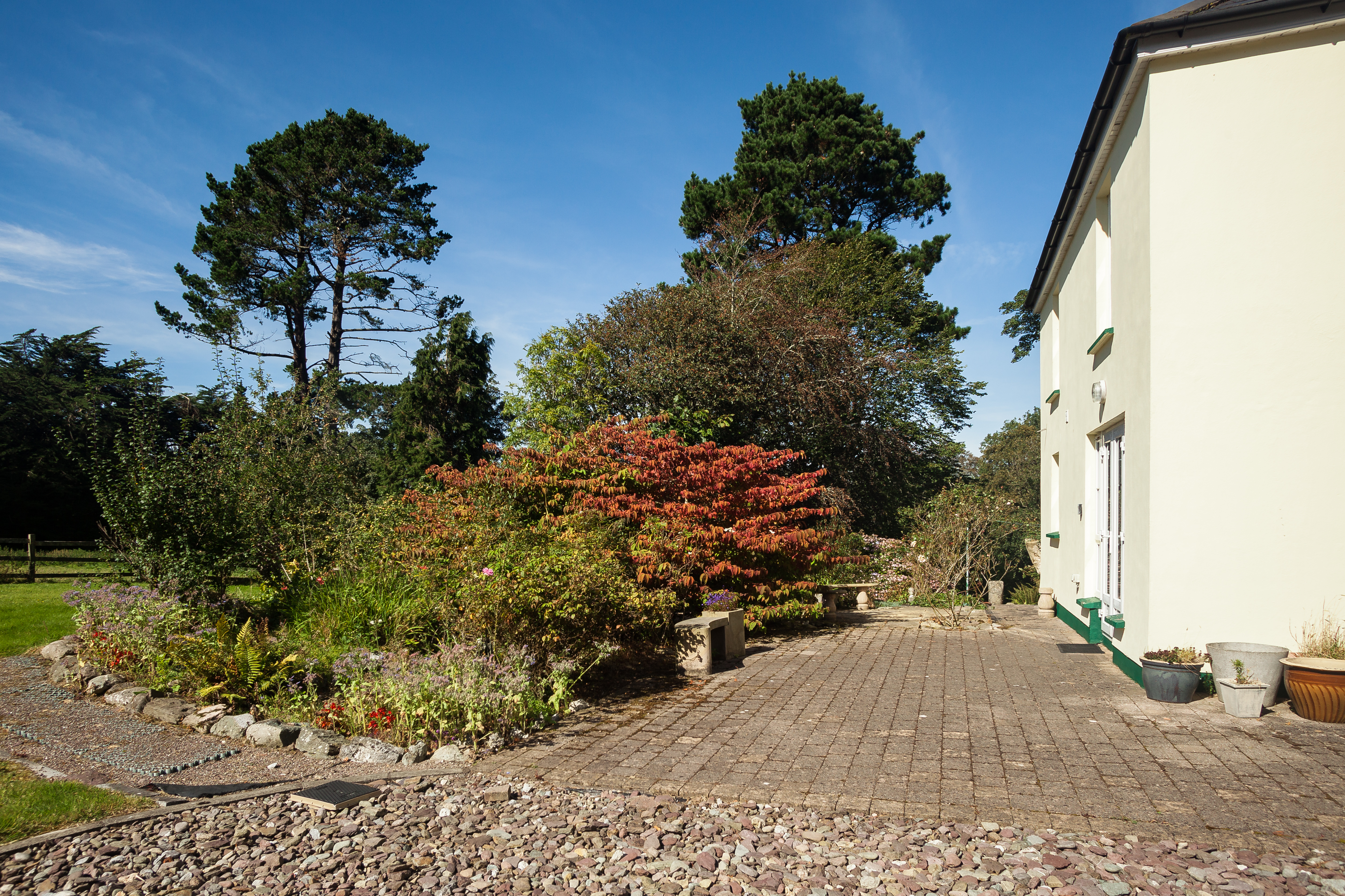 Photo: Niamh Whitty/www.pictureitsold.ie