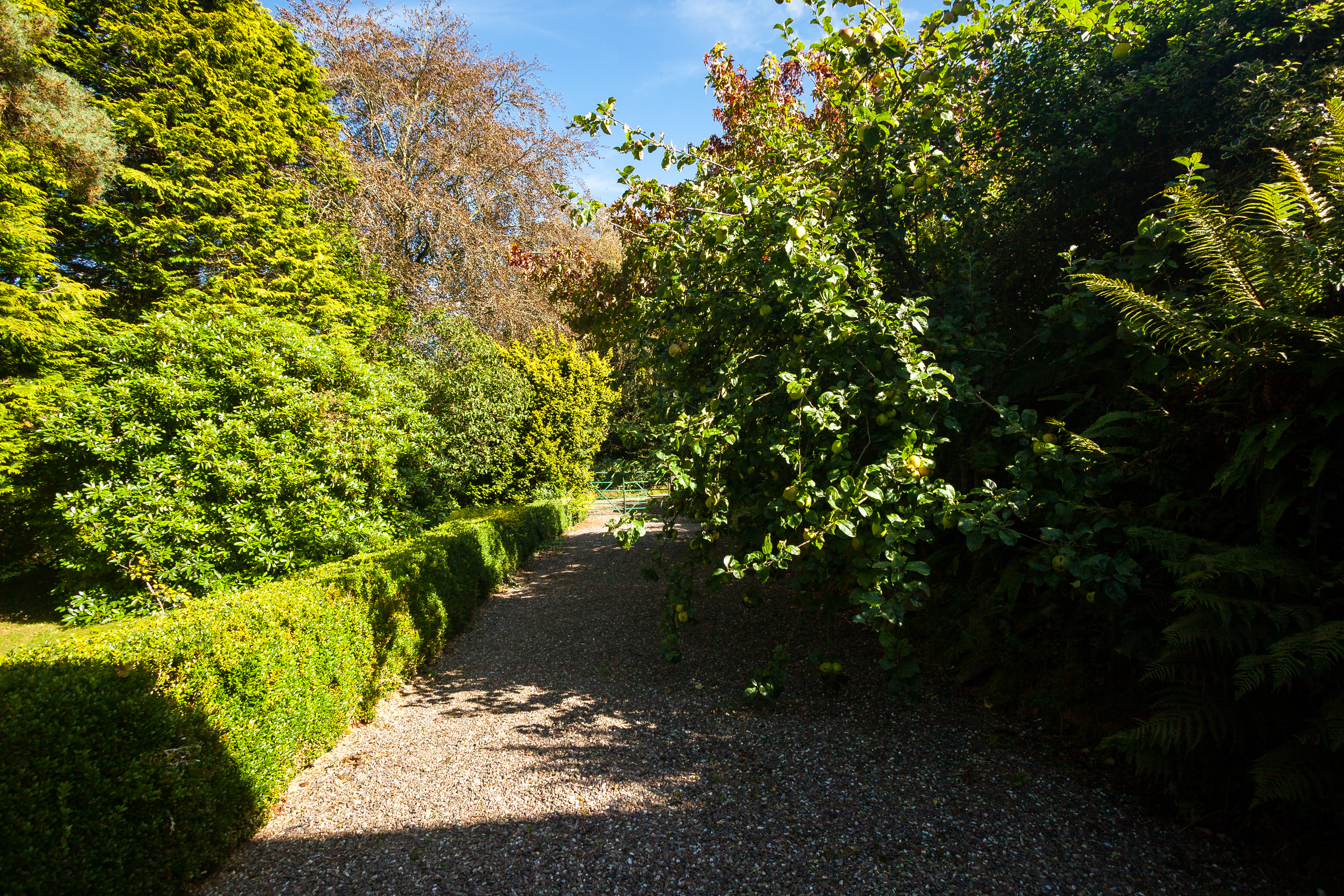 Photo: Niamh Whitty/www.pictureitsold.ie