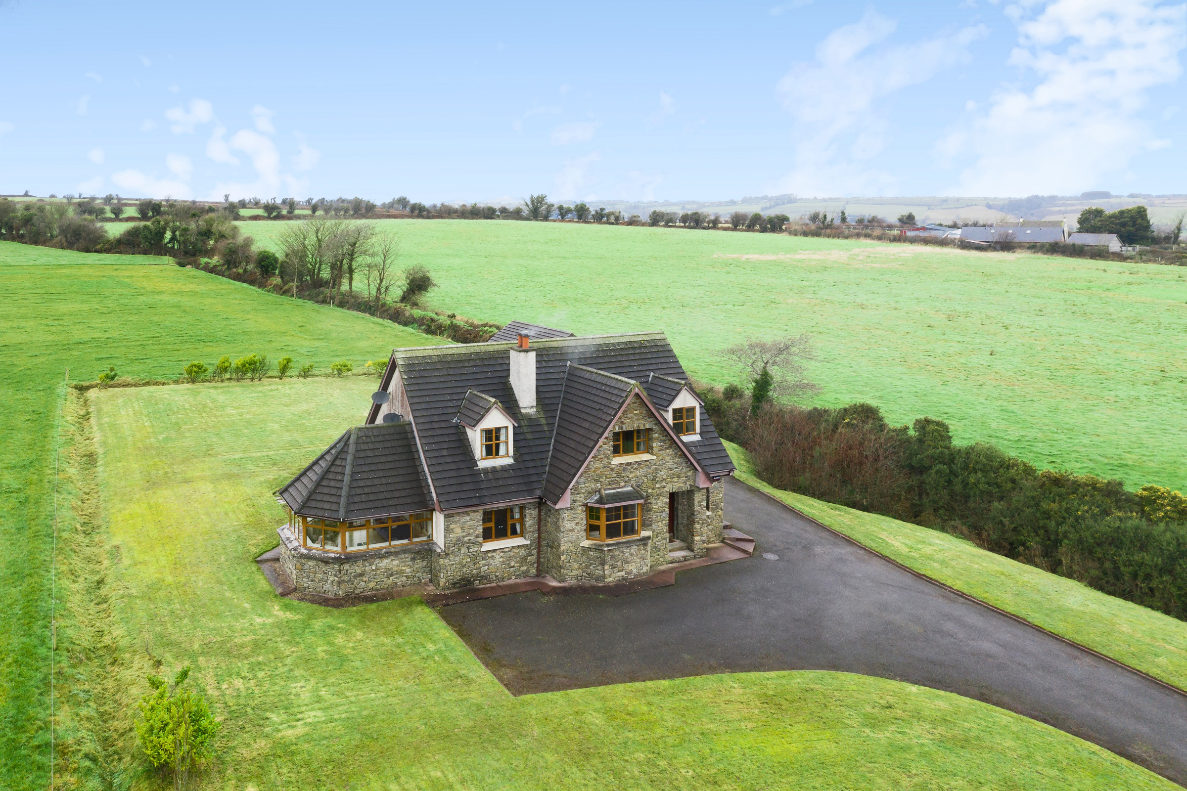 Photo: Niamh Whitty/www.pictureitsold.ie