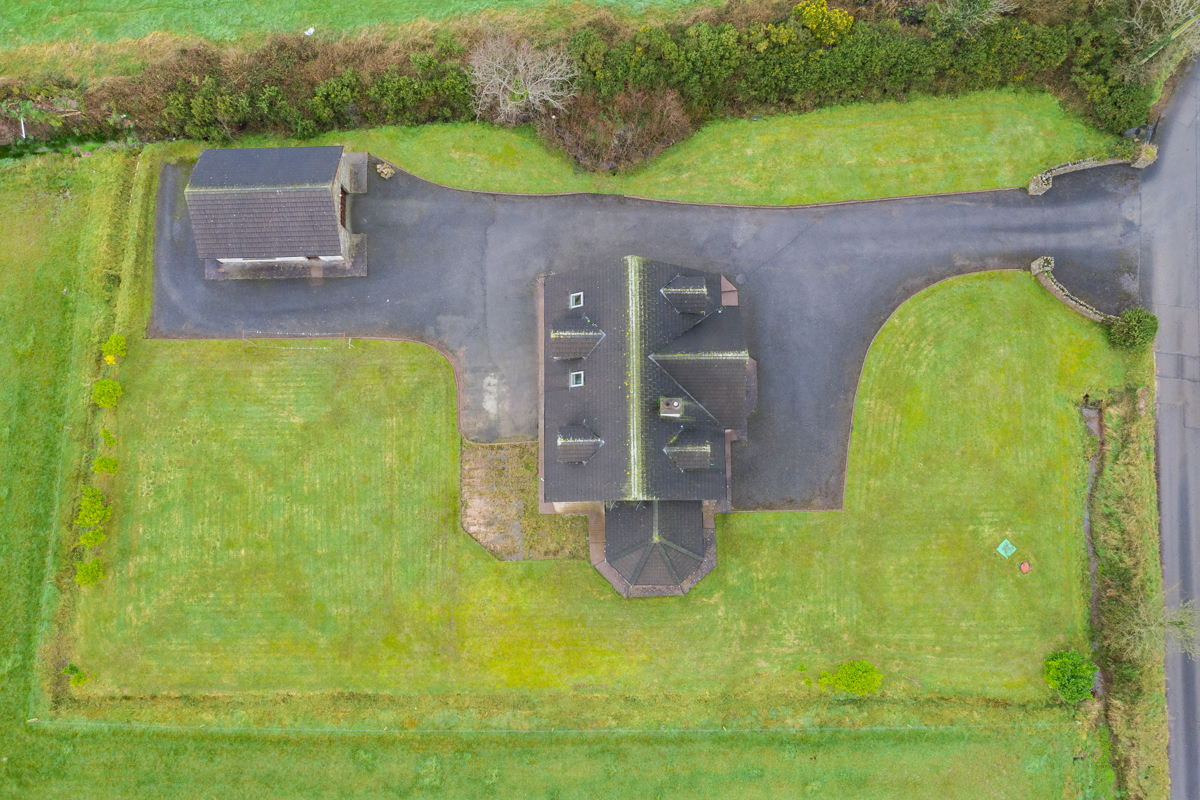 Photo: Niamh Whitty/www.pictureitsold.ie