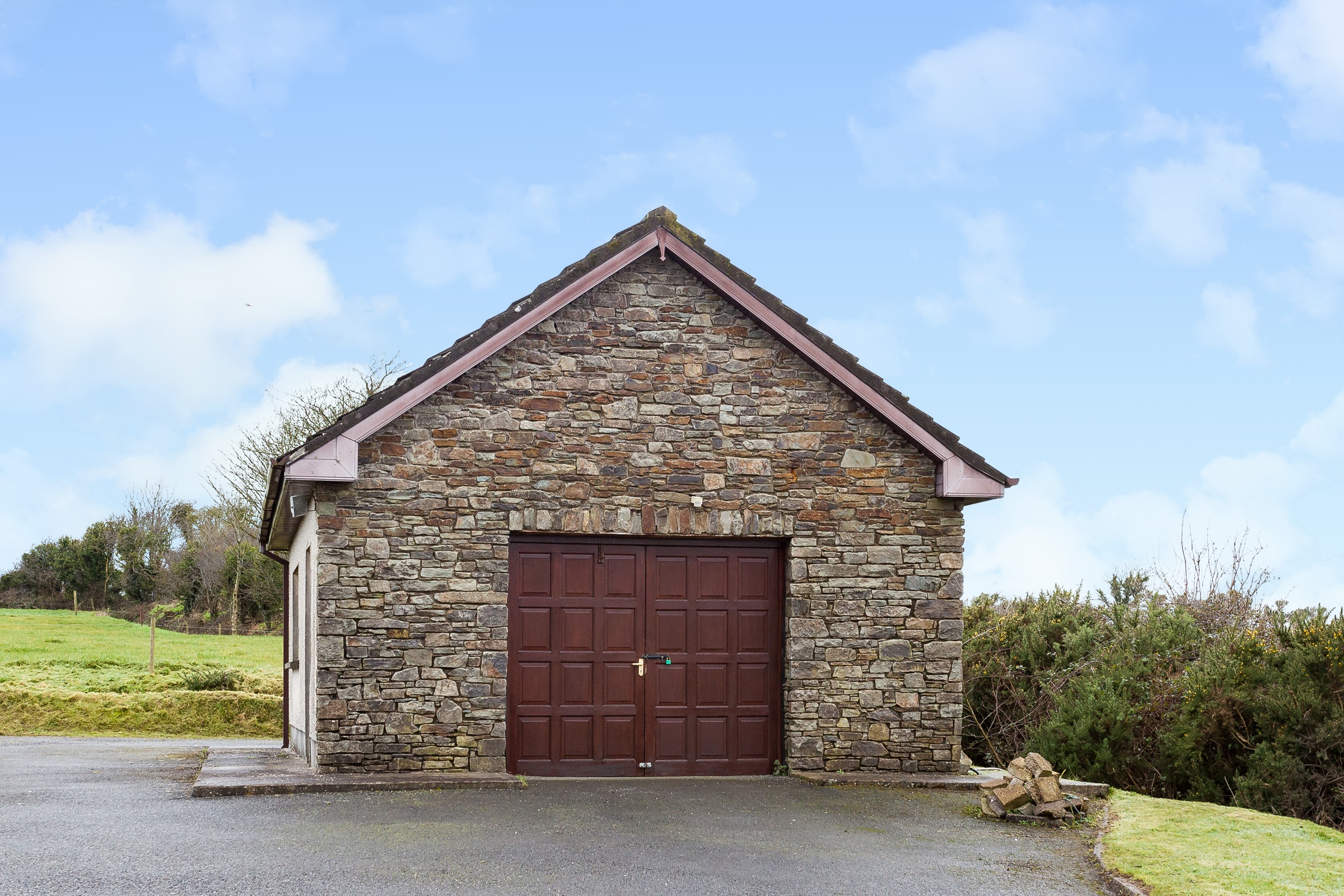 Photo: Niamh Whitty/www.pictureitsold.ie