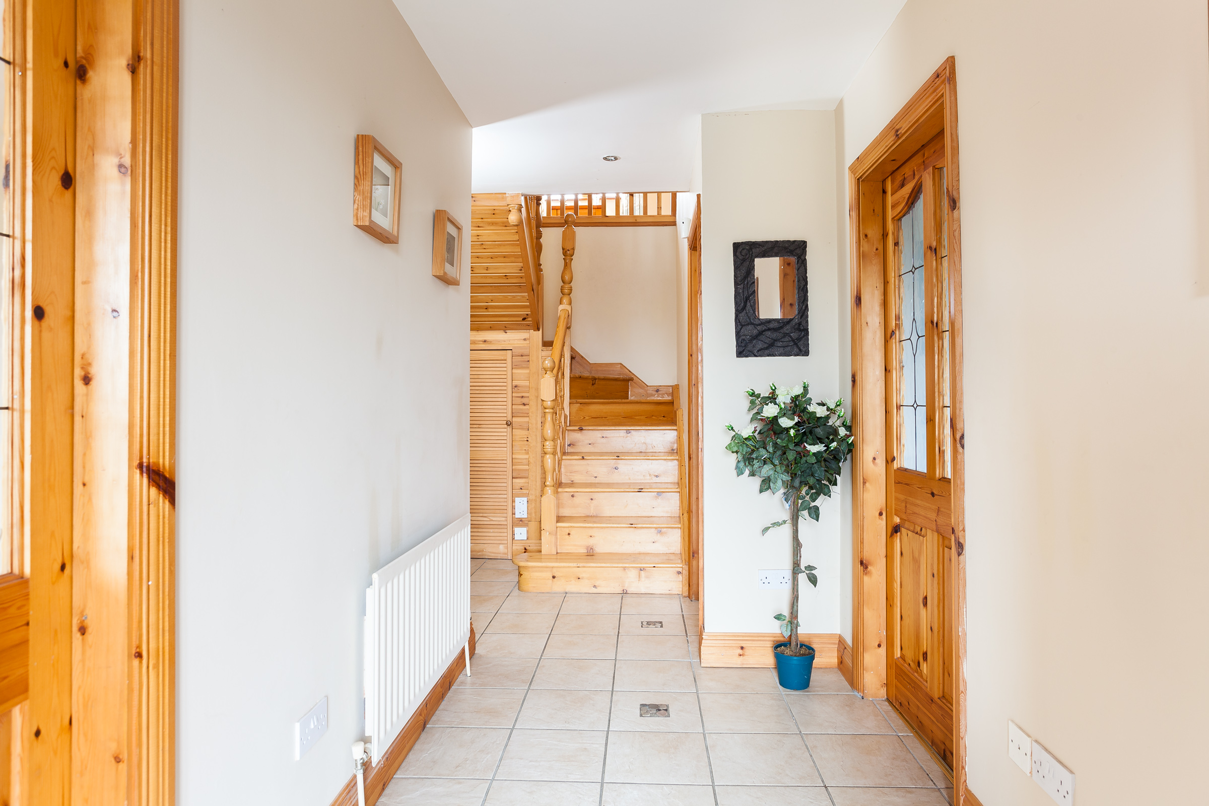 Photo: Niamh Whitty/www.pictureitsold.ie