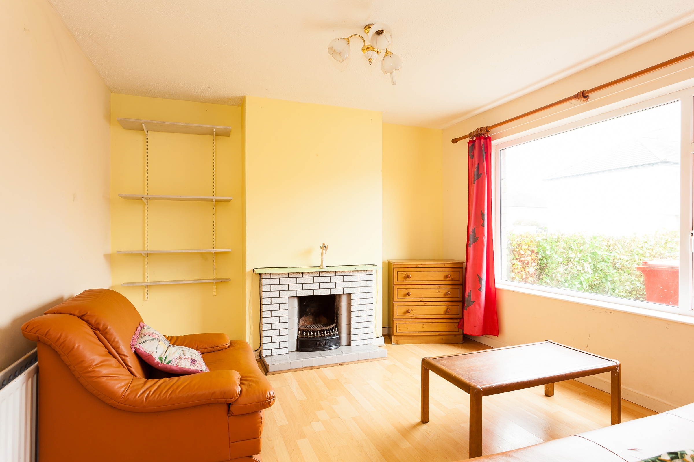 Photo: Niamh Whitty/www.pictureitsold.ie