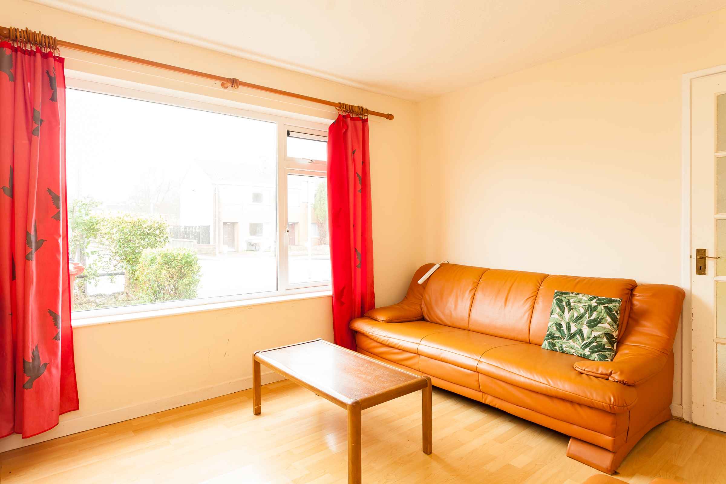 Photo: Niamh Whitty/www.pictureitsold.ie