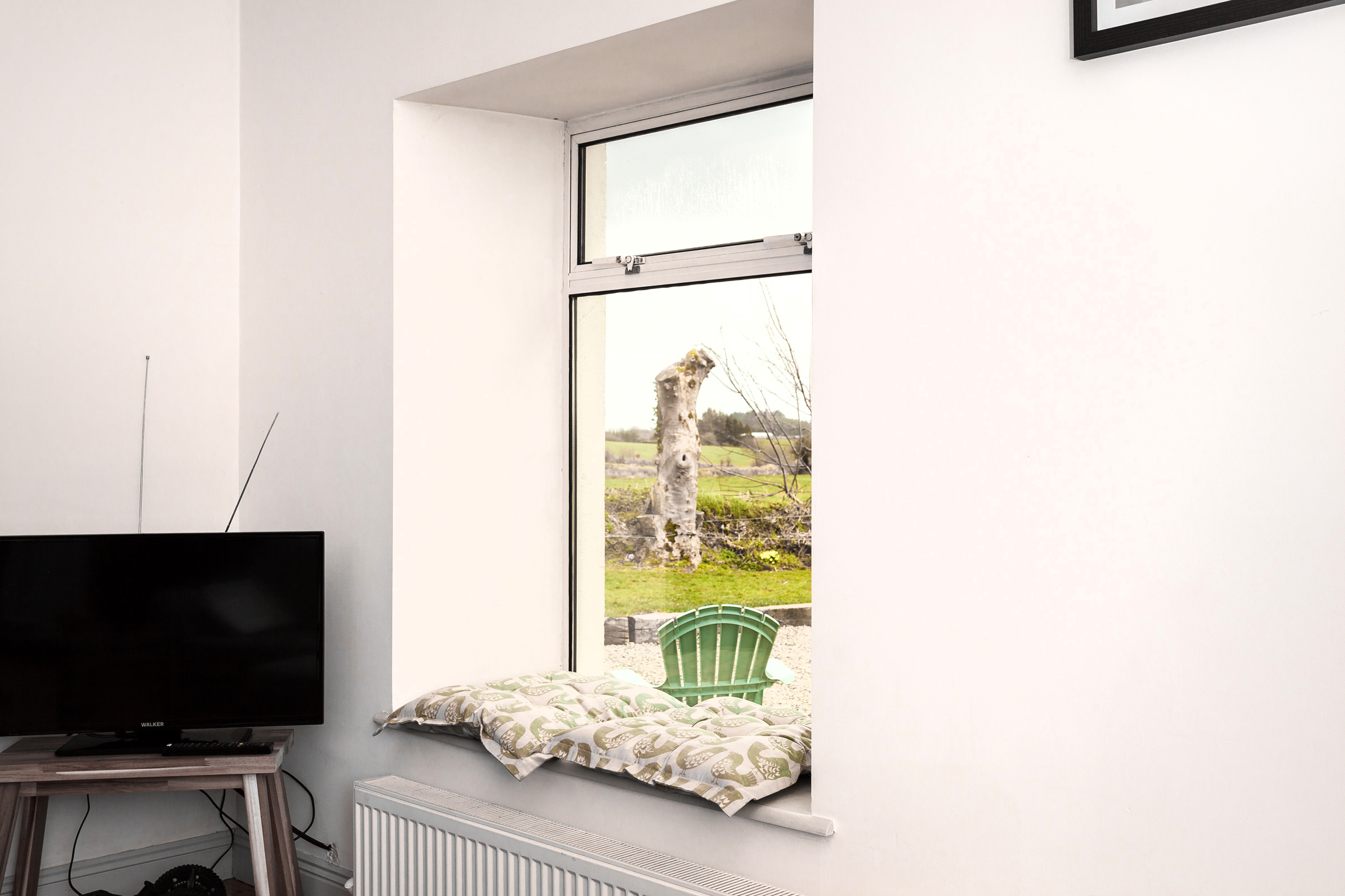 Photo: Niamh Whitty/www.pictureitsold.ie