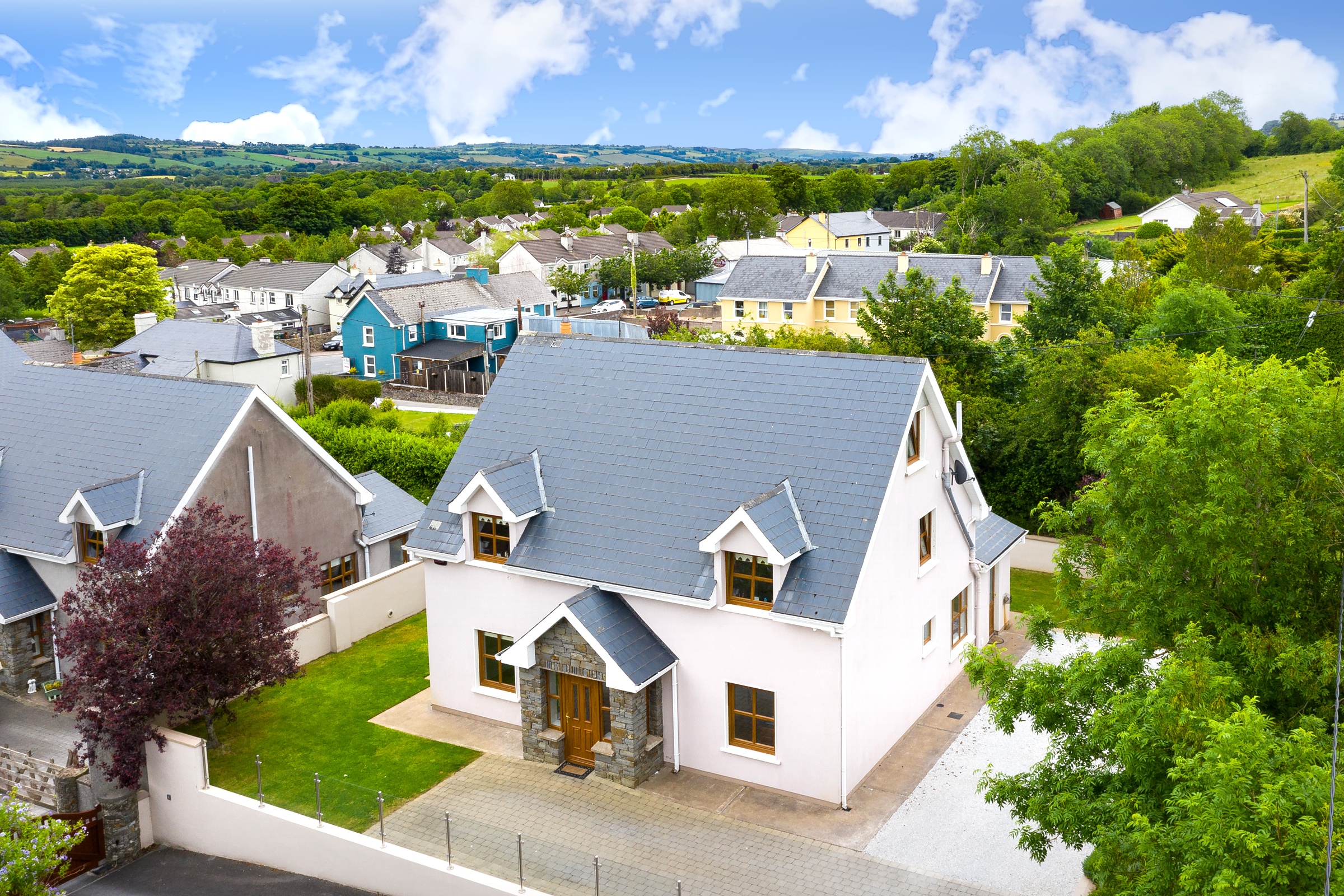 Photo: Niamh Whitty/www.pictureitsold.ie