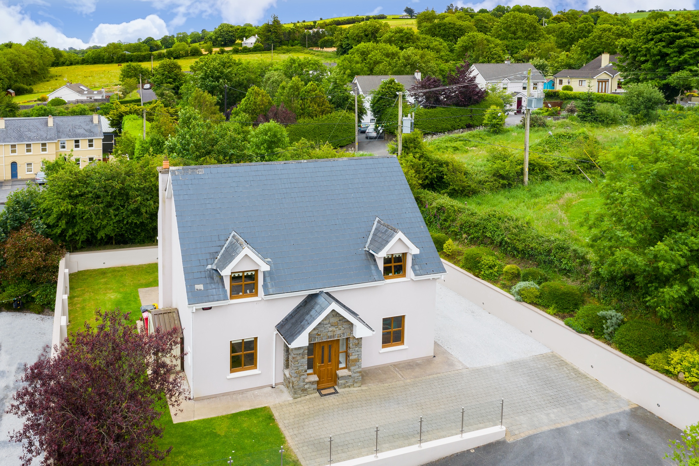 Photo: Niamh Whitty/www.pictureitsold.ie