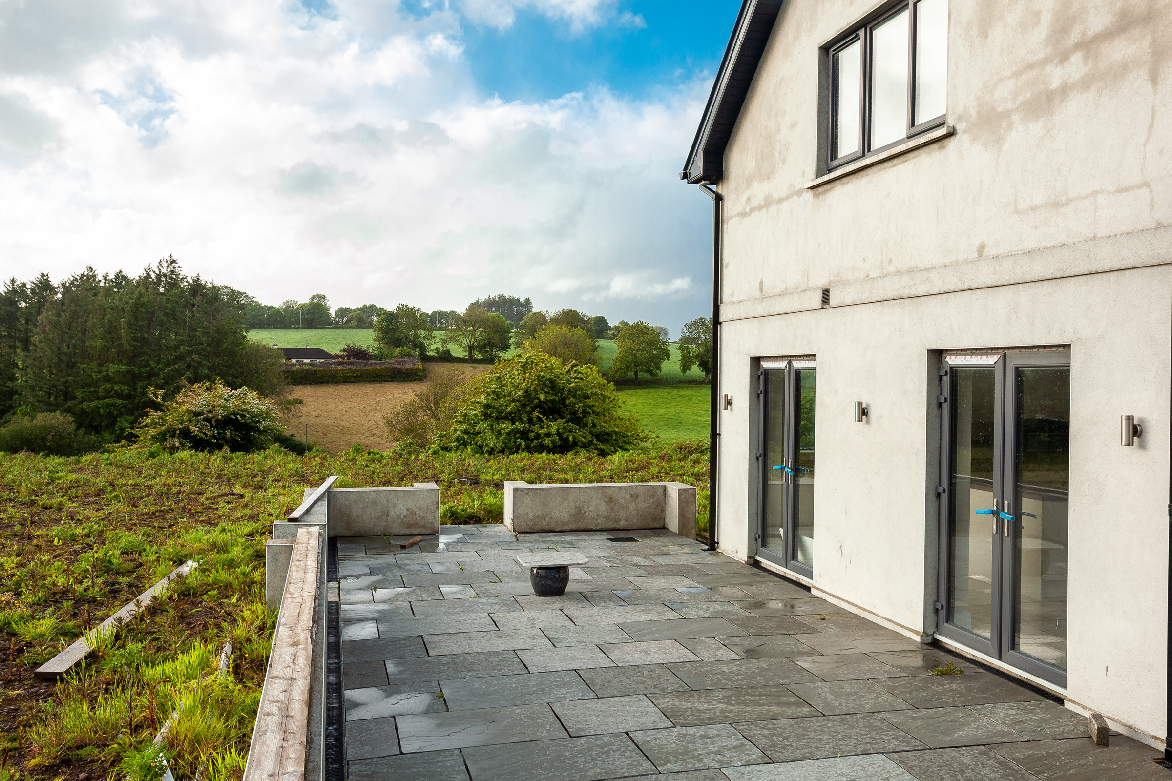 Photo: Niamh Whitty/www.pictureitsold.ie