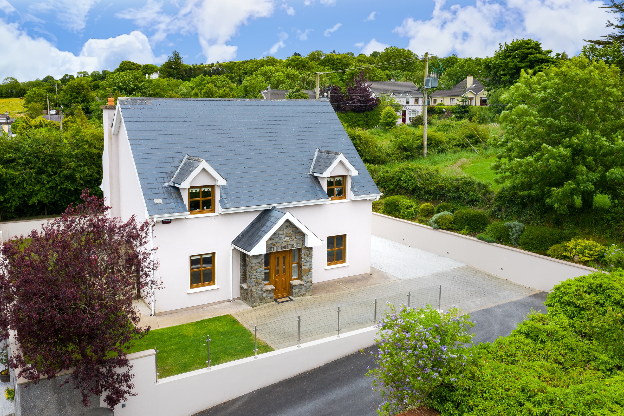 Photo: Niamh Whitty/www.pictureitsold.ie
