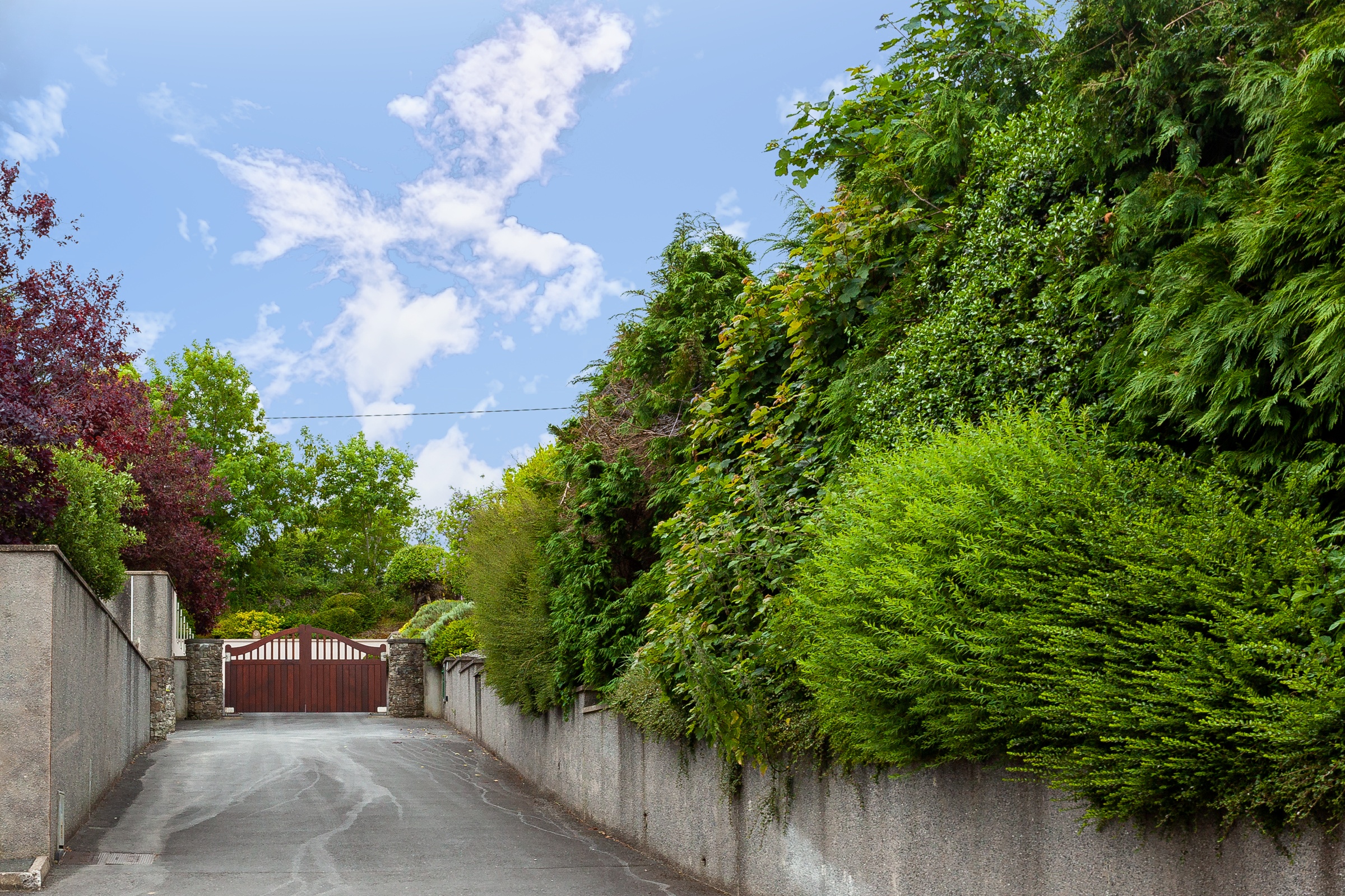 Photo: Niamh Whitty/www.pictureitsold.ie