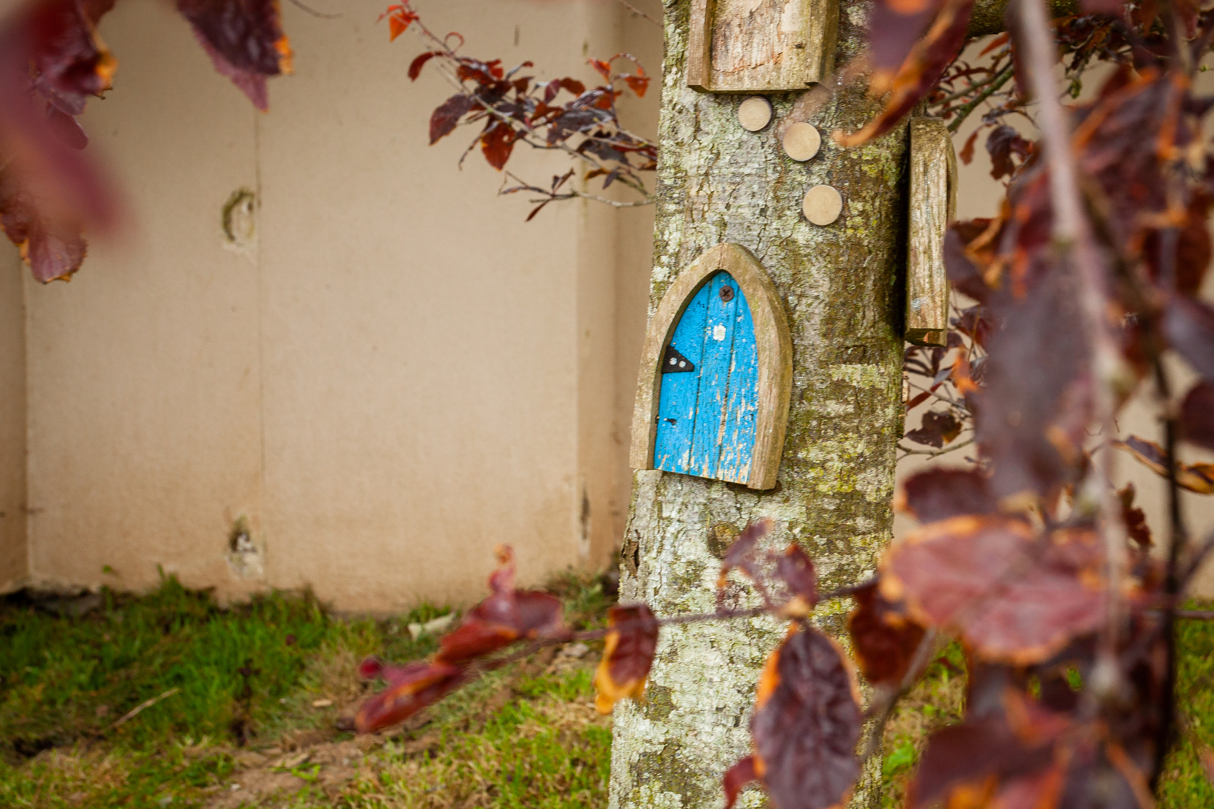 Photo: Niamh Whitty/www.pictureitsold.ie