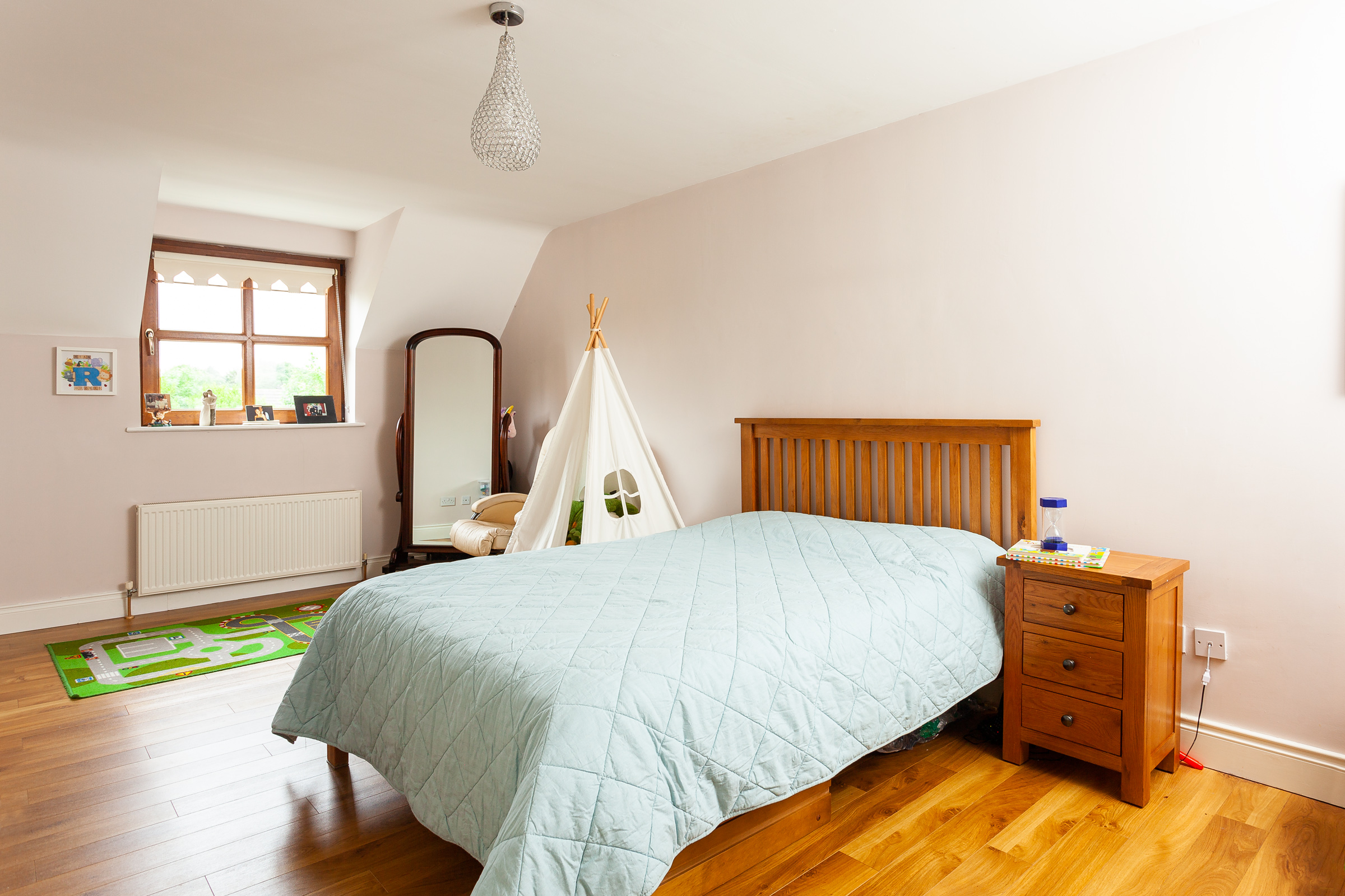 Photo: Niamh Whitty/www.pictureitsold.ie