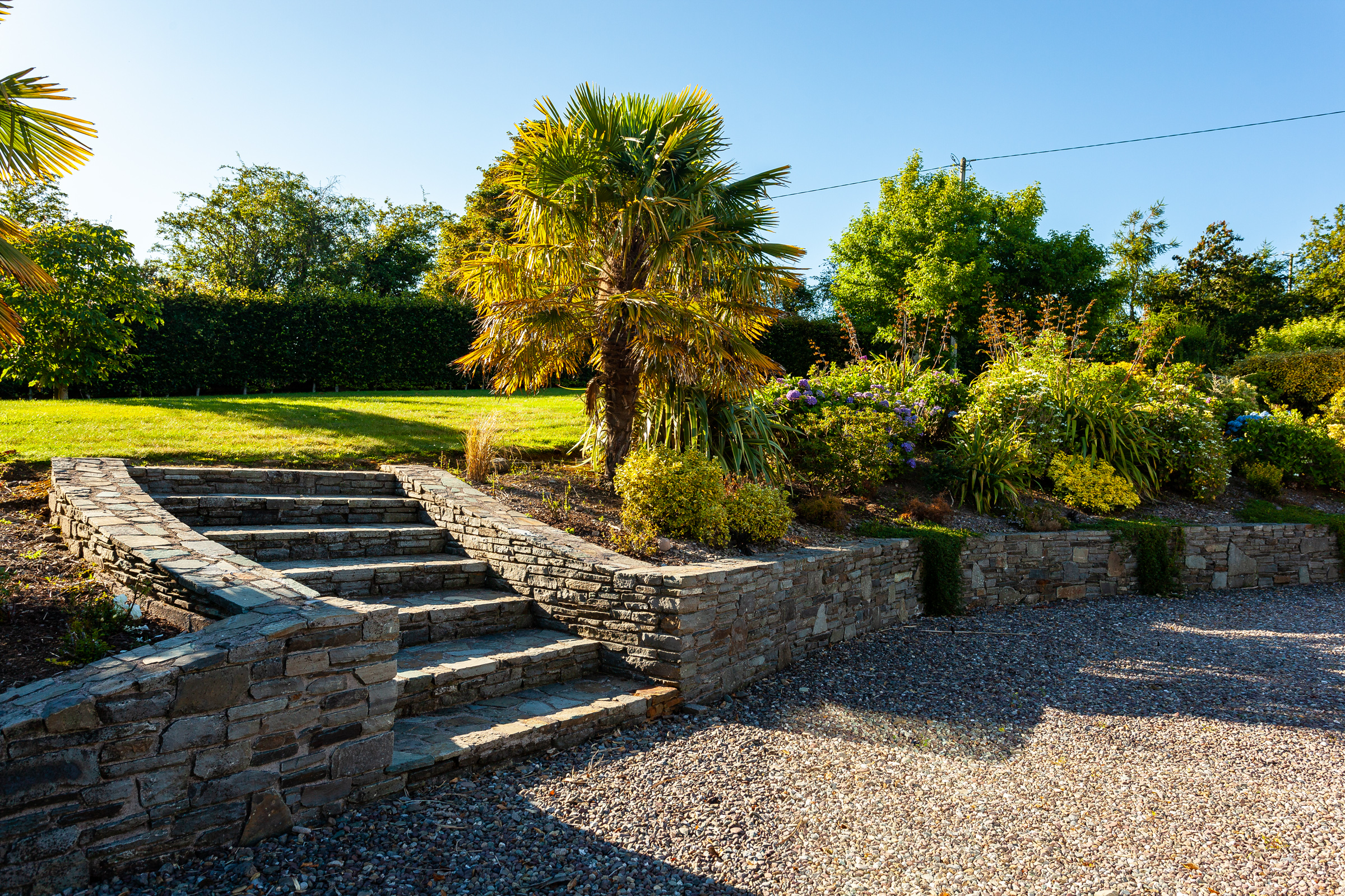 Photo: Niamh Whitty/www.pictureitsold.ie