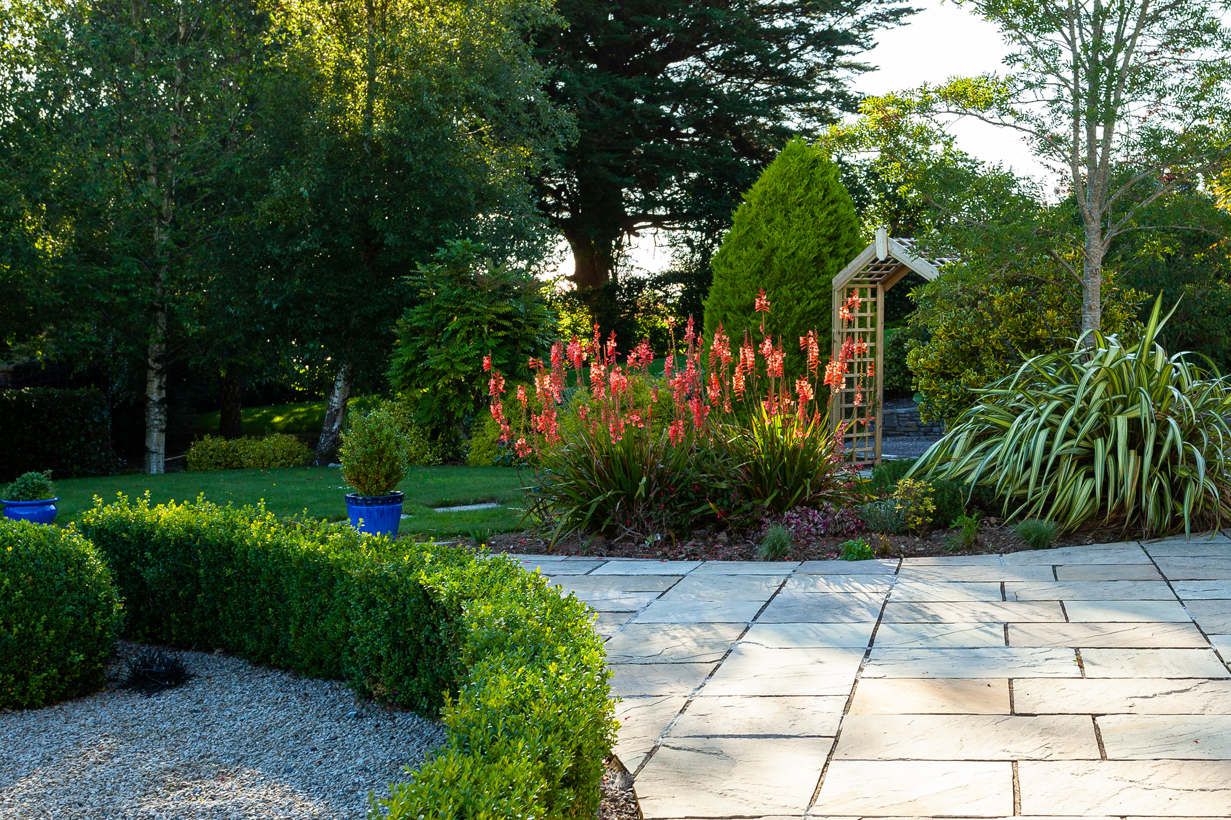 Photo: Niamh Whitty/www.pictureitsold.ie
