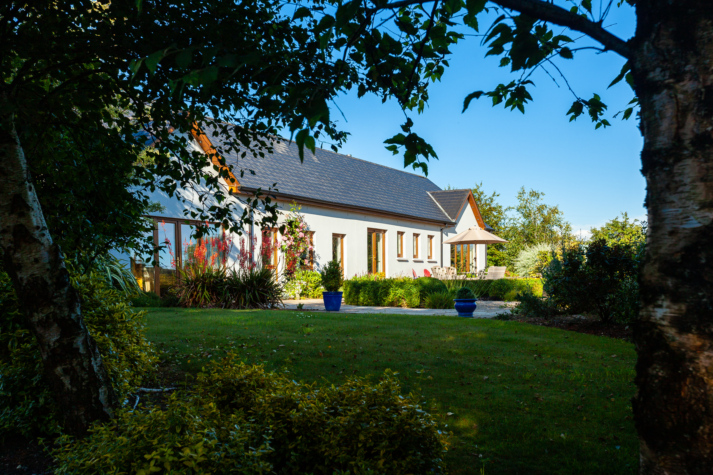 Photo: Niamh Whitty/www.pictureitsold.ie