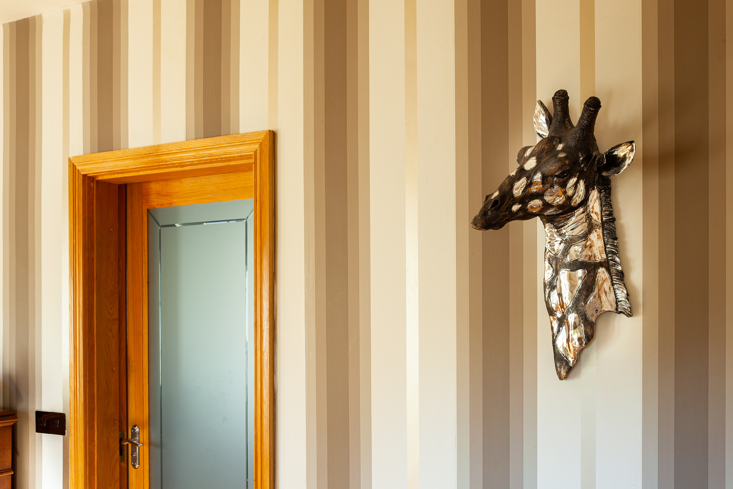 Photo: Niamh Whitty/www.pictureitsold.ie