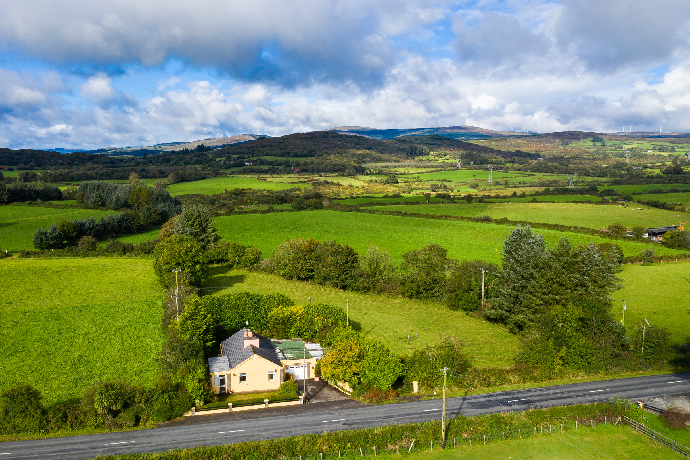 Photo: Niamh Whitty/www.pictureitsold.ie